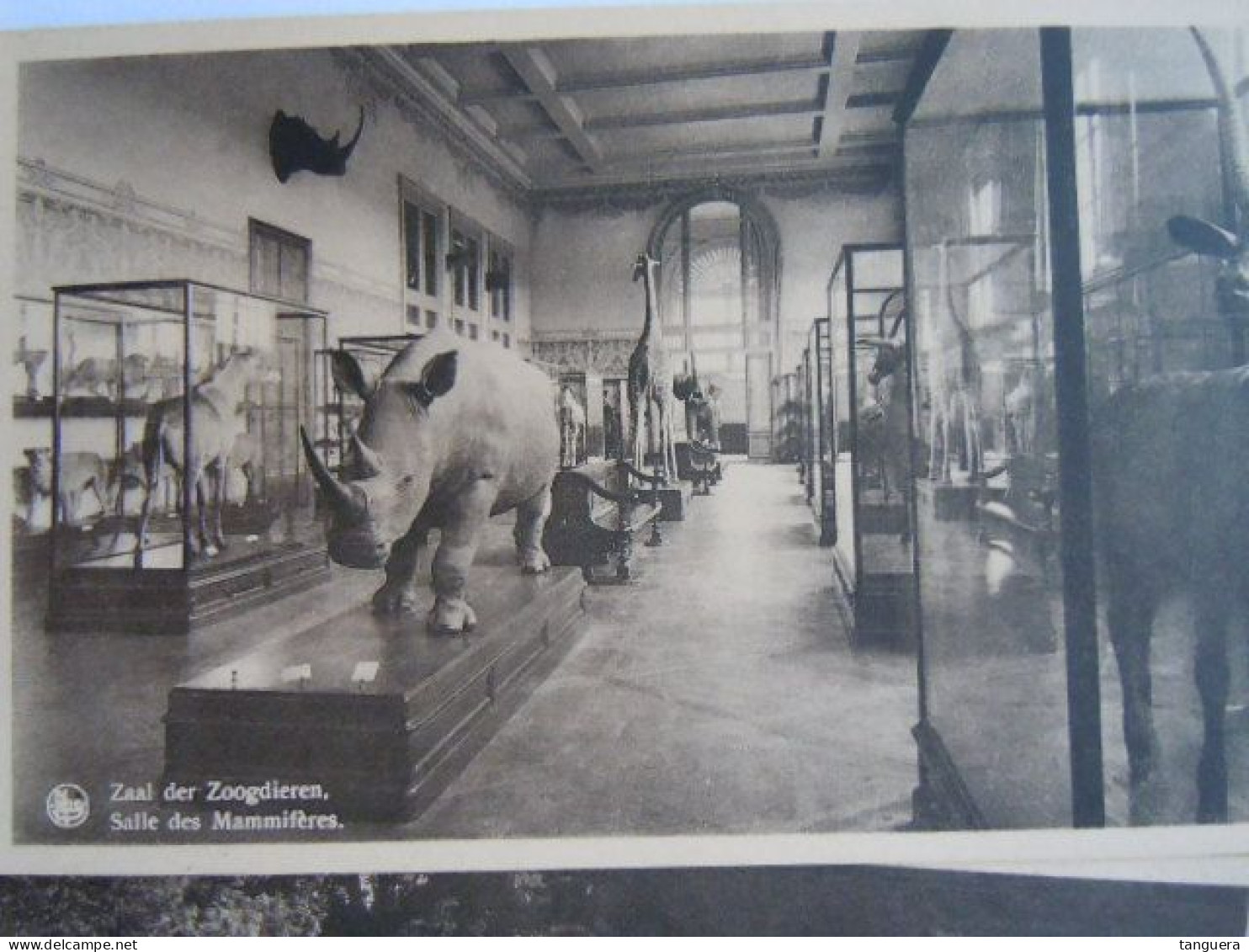 11 Cp Tervuren Museum Van Belgisch Congo En Het Park Musée Du Congo Belge Et Le Parc (701) - Tervuren