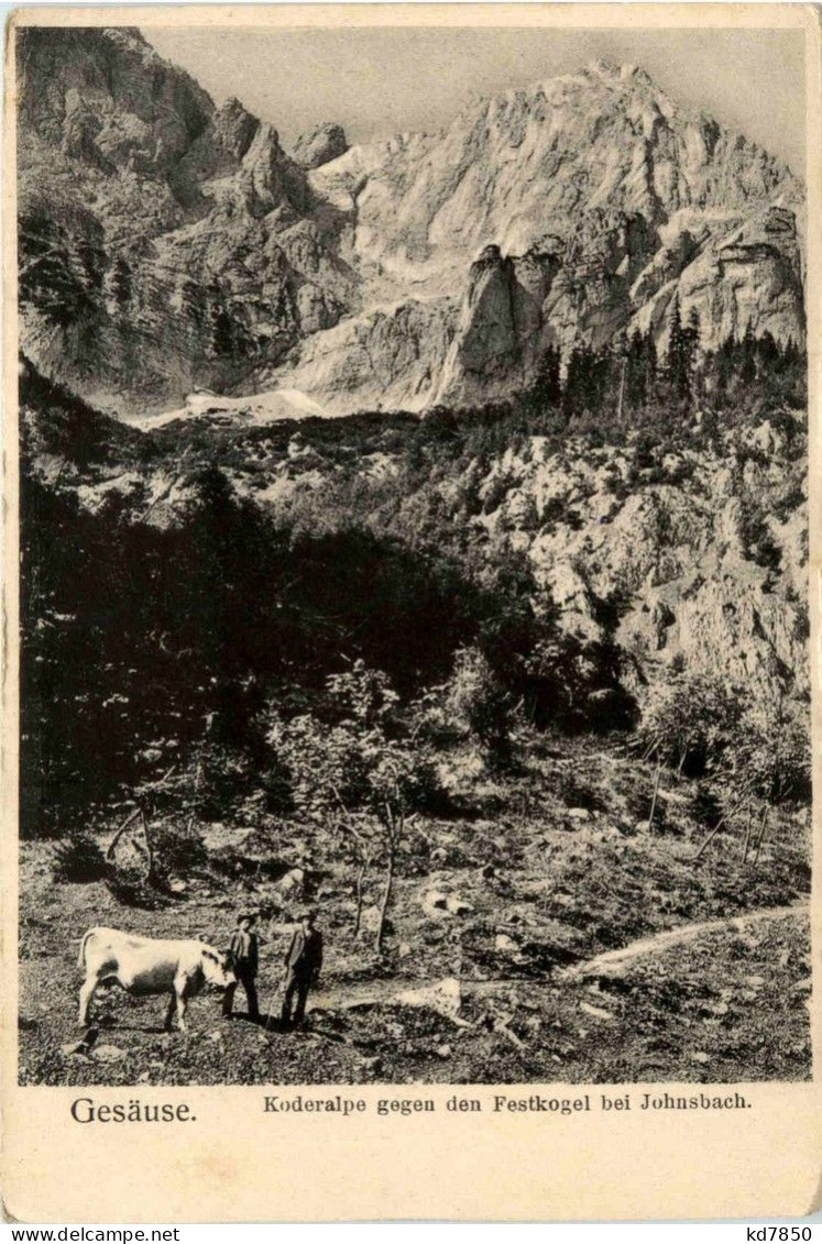 Gesäuse, Koderalpe Gegen Den Festkogel Bei Johnsbach - Gesäuse