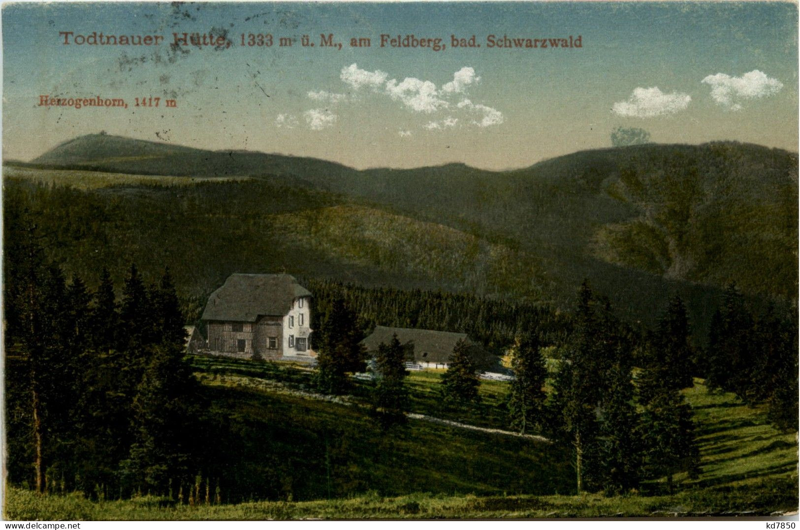 Feldberg - Todtnauer Hütte - Feldberg