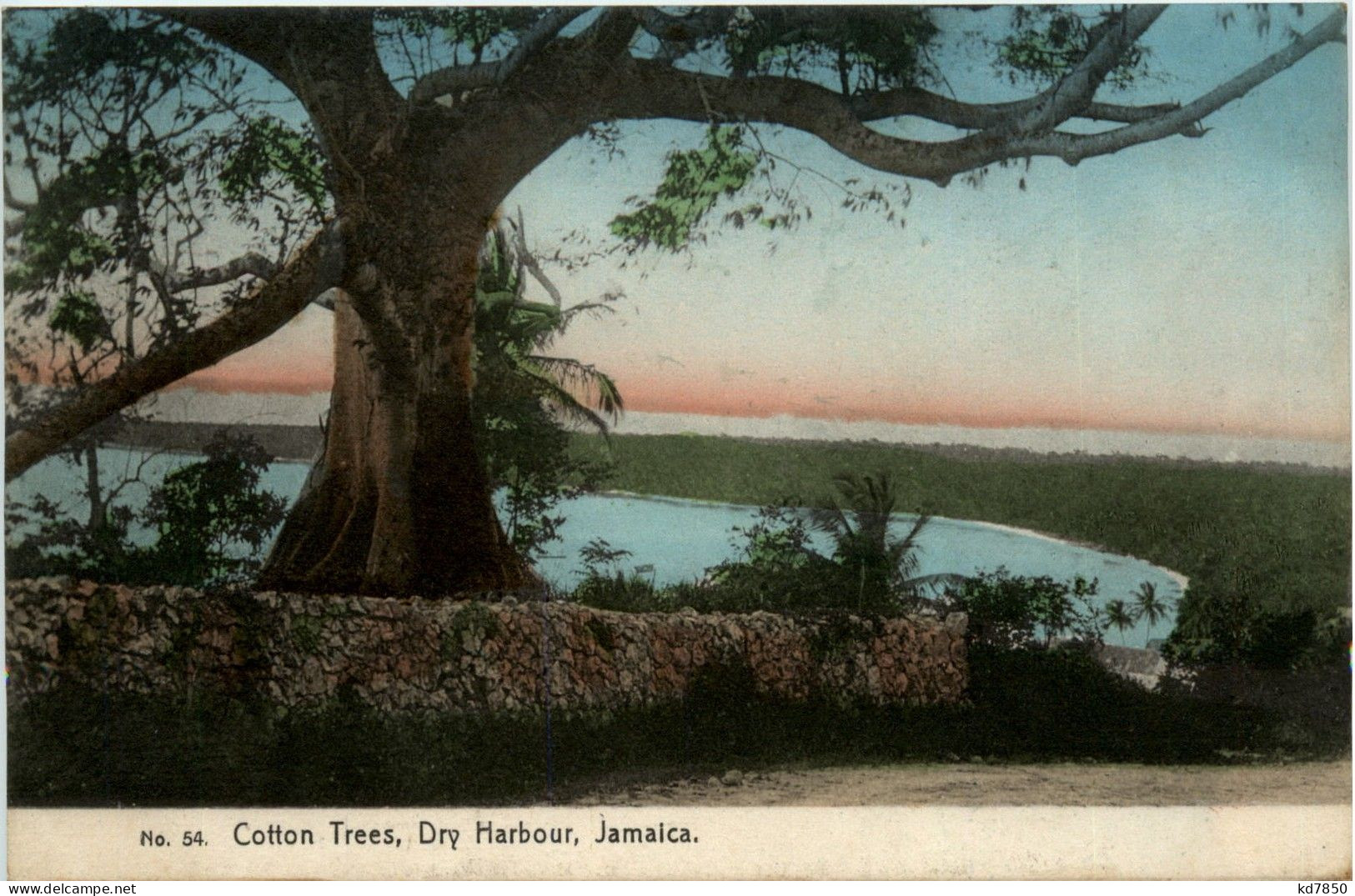 Jamaica - Cotton Trees Dry Habour - Giamaica