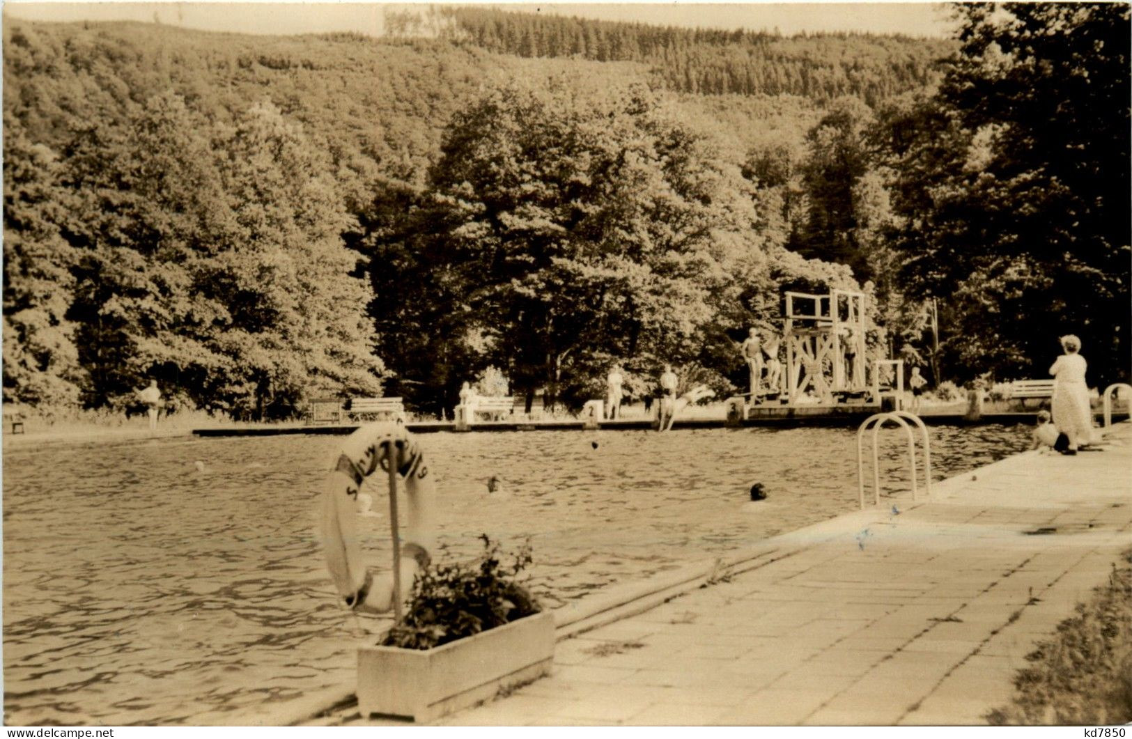 Schwarzburg In Thüringen - Schwimmbad - Saalfeld