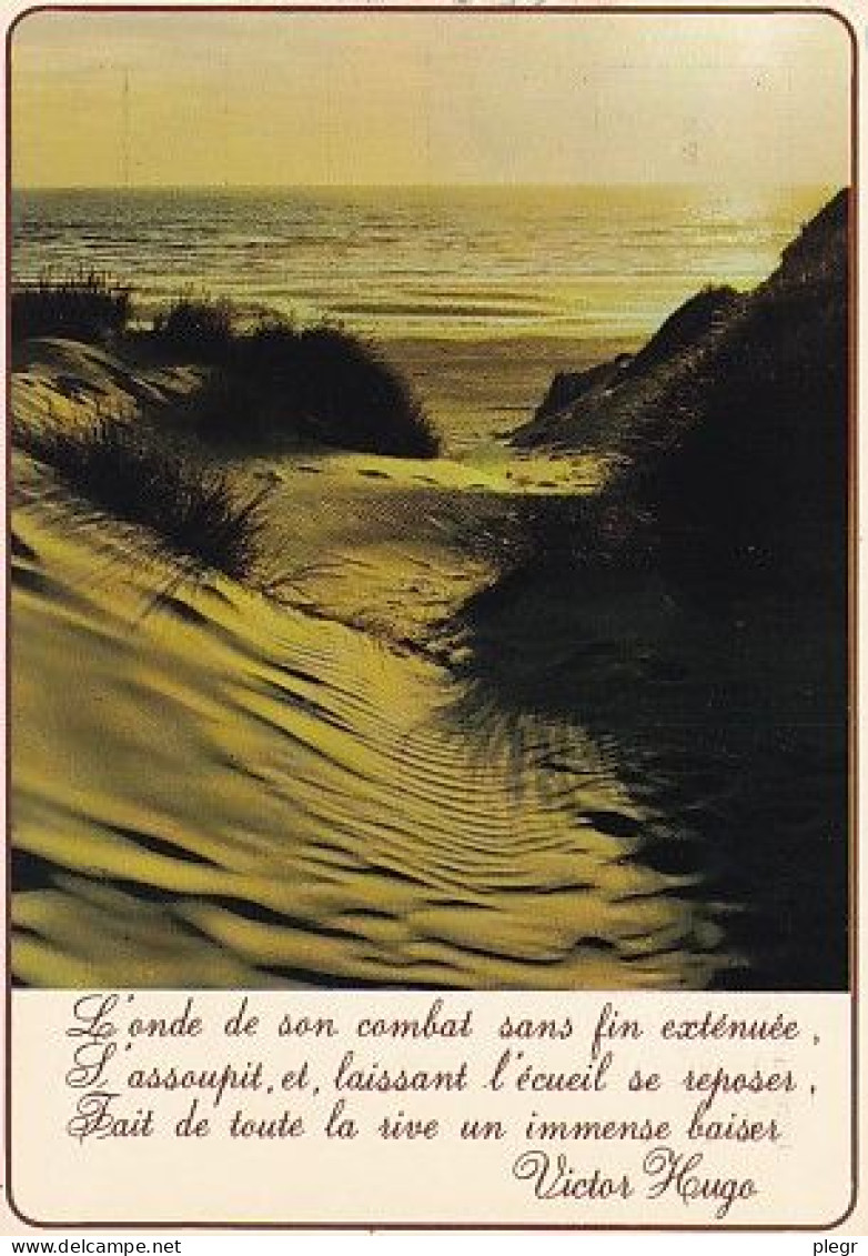 62000 02 01#1 - LITTORAL DE LA MANCHE ET DE LA MER DU NORD - CONTRE JOUR DANS LES DUNES - Autres & Non Classés