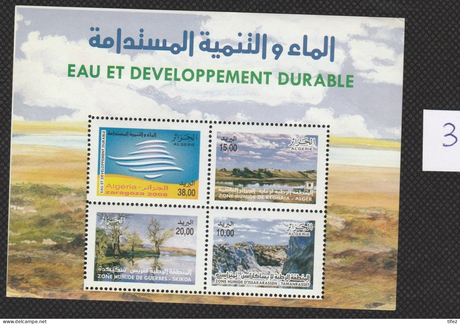 BF. N°13 : Année 2008 : Eau Et Développement Durable (N3) - Algeria (1962-...)