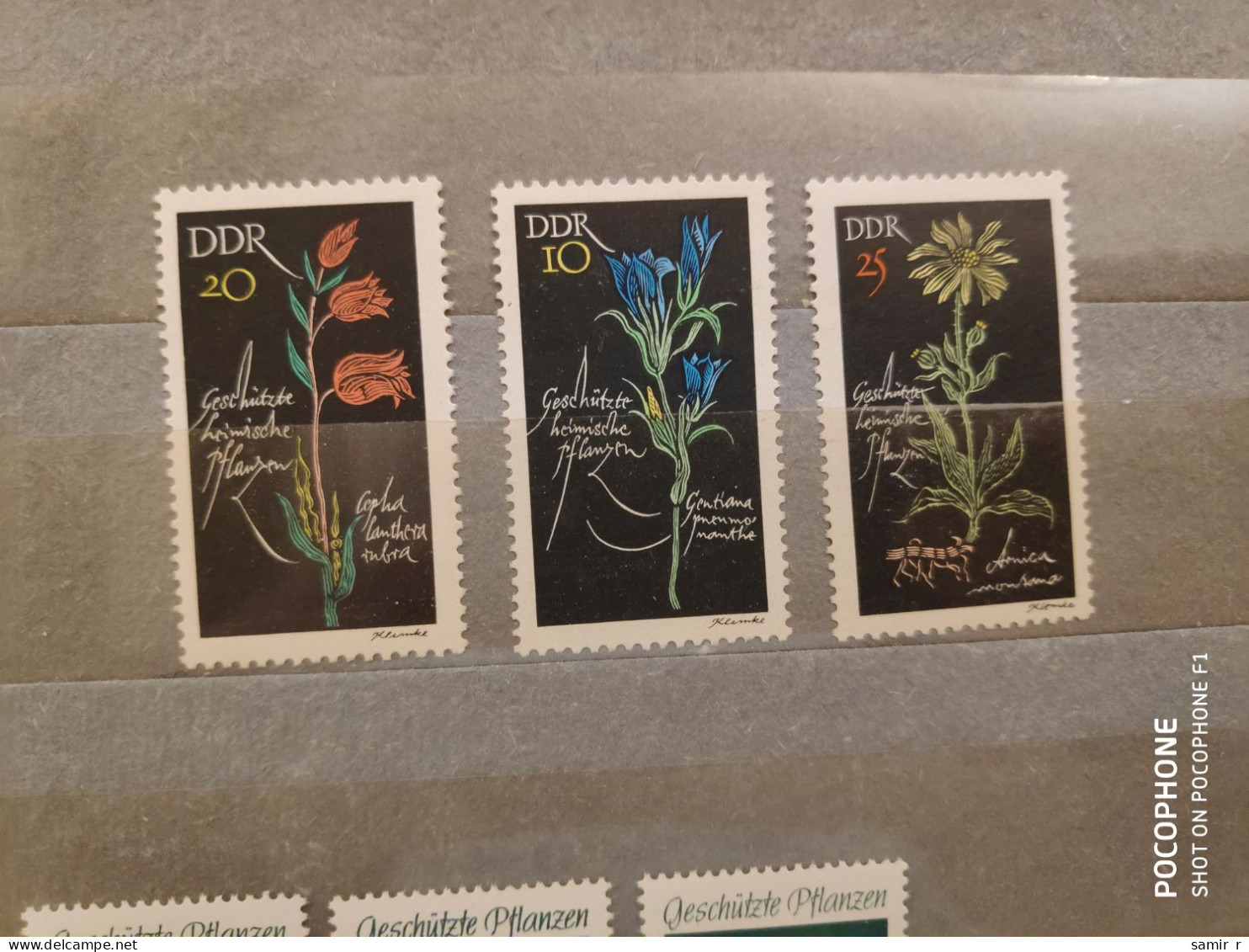 1966	Germany	Flowers (F89) - Unused Stamps