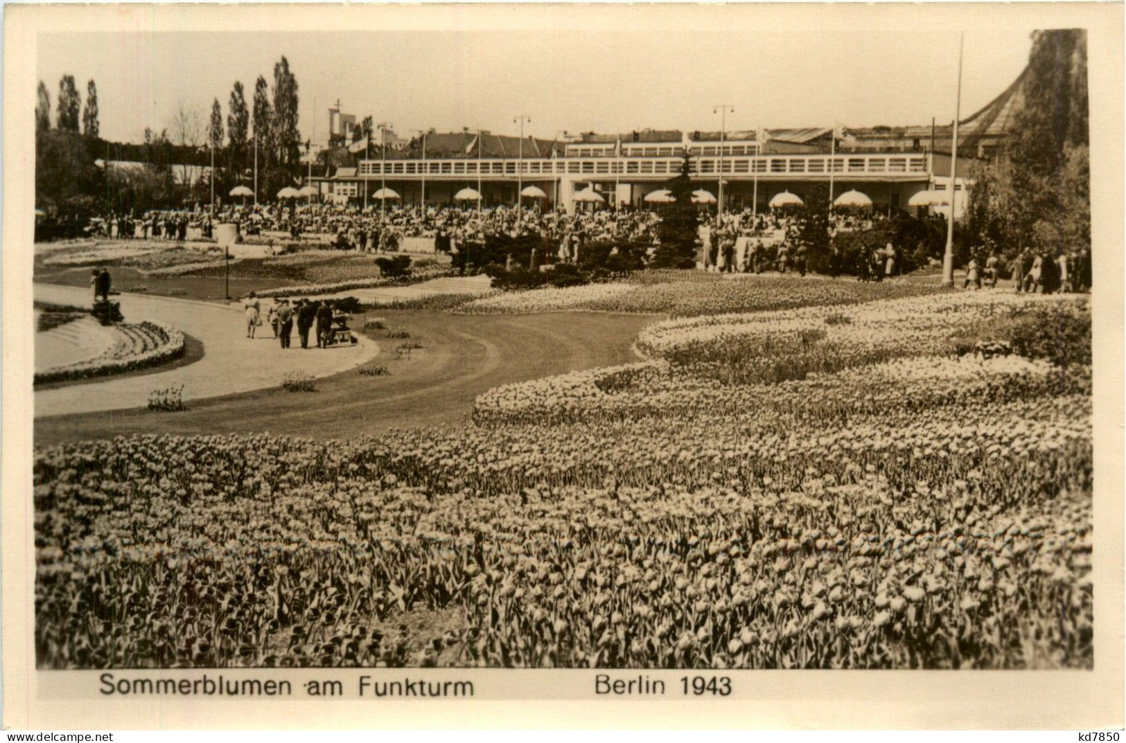 Berlin-Charlottenburg - Sommerblumen Am Funkturm 1943 - Charlottenburg