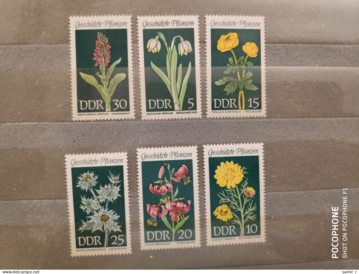 1969	Germany	Flowers (F89) - Unused Stamps