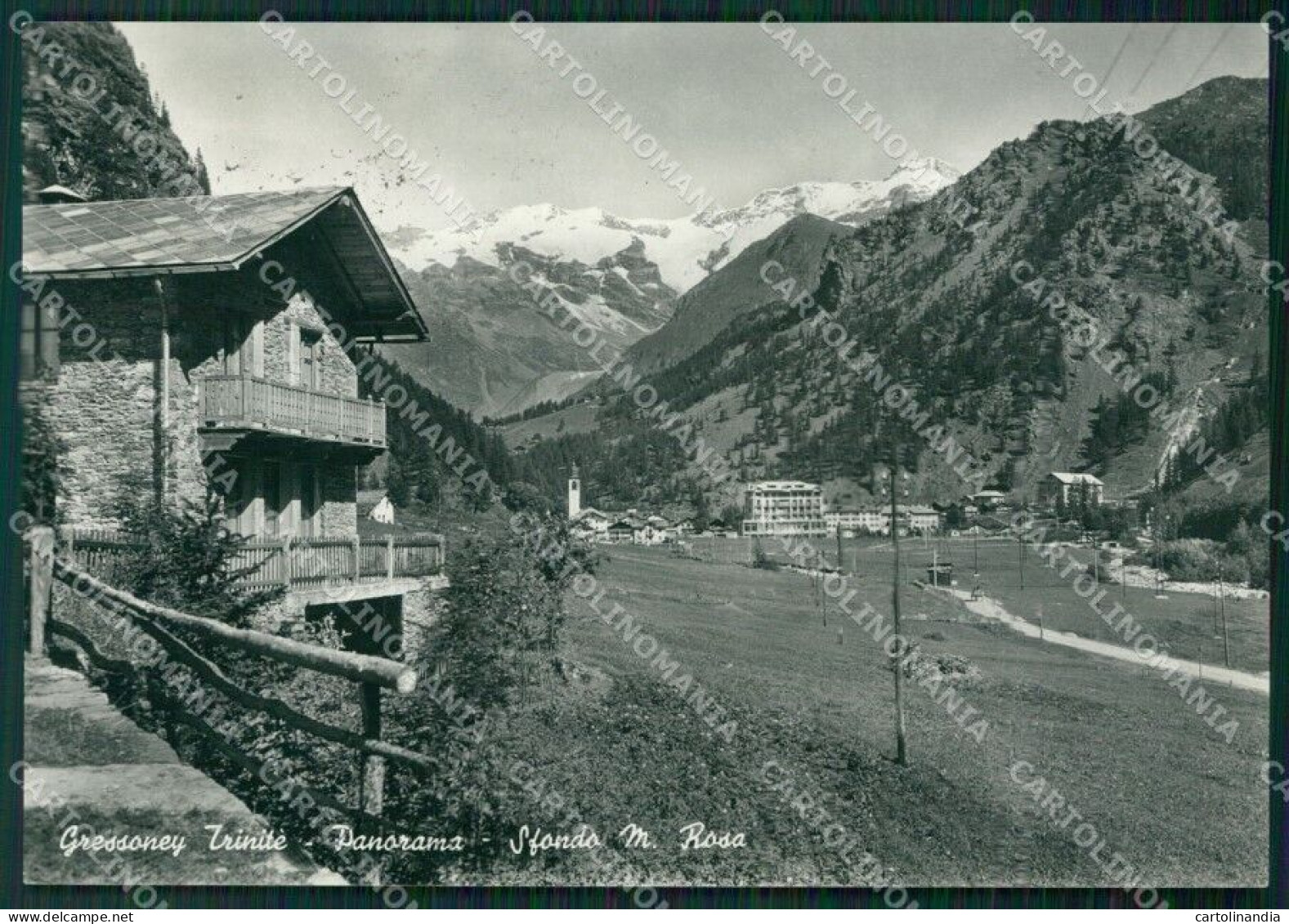 Aosta Gressoney La Trinitè Monte Rosa Foto FG Cartolina ZK5267 - Aosta