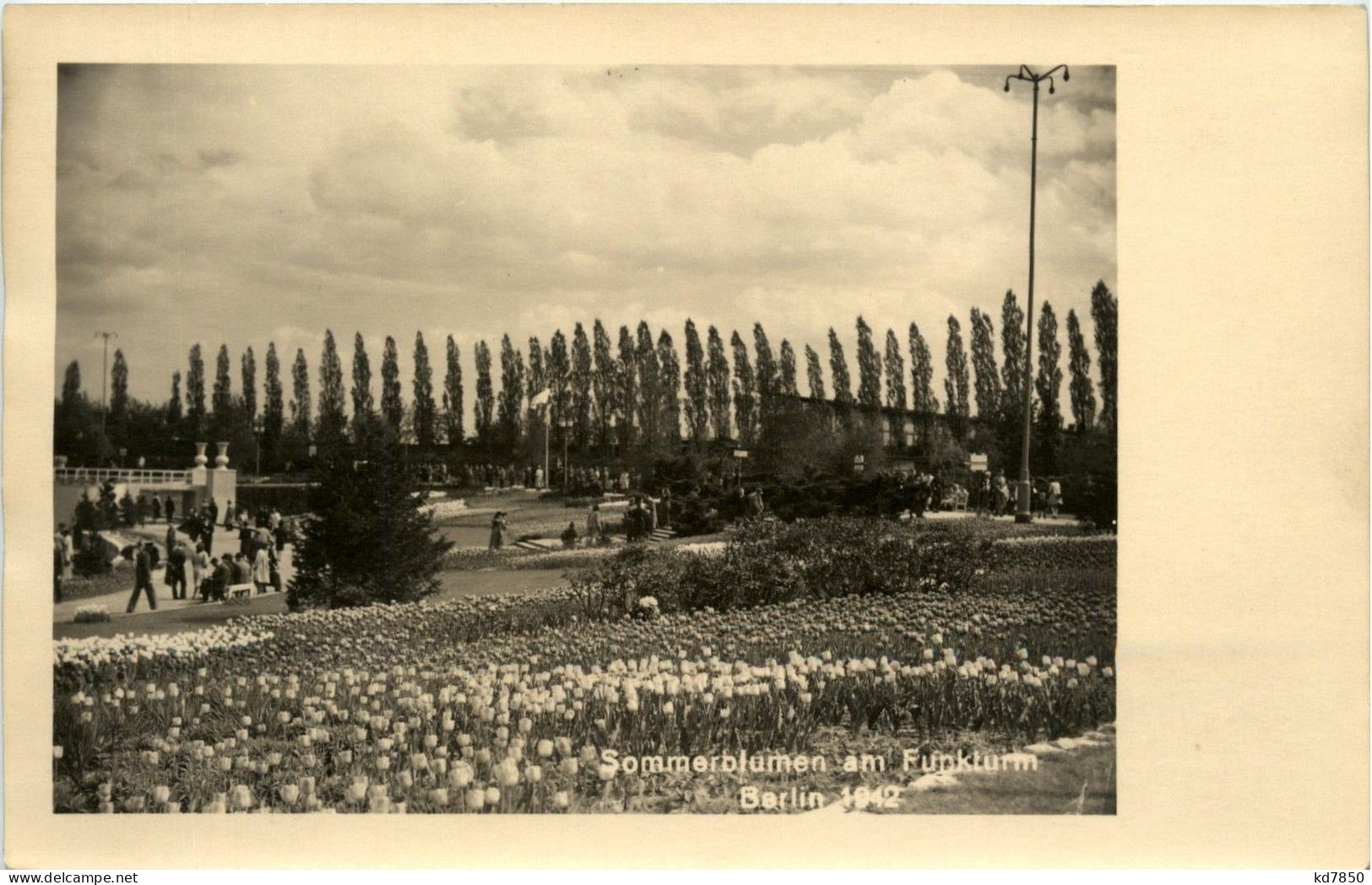 Berlin-Charlottenburg - Sommerblumen Am Funkturm 1942 - Charlottenburg