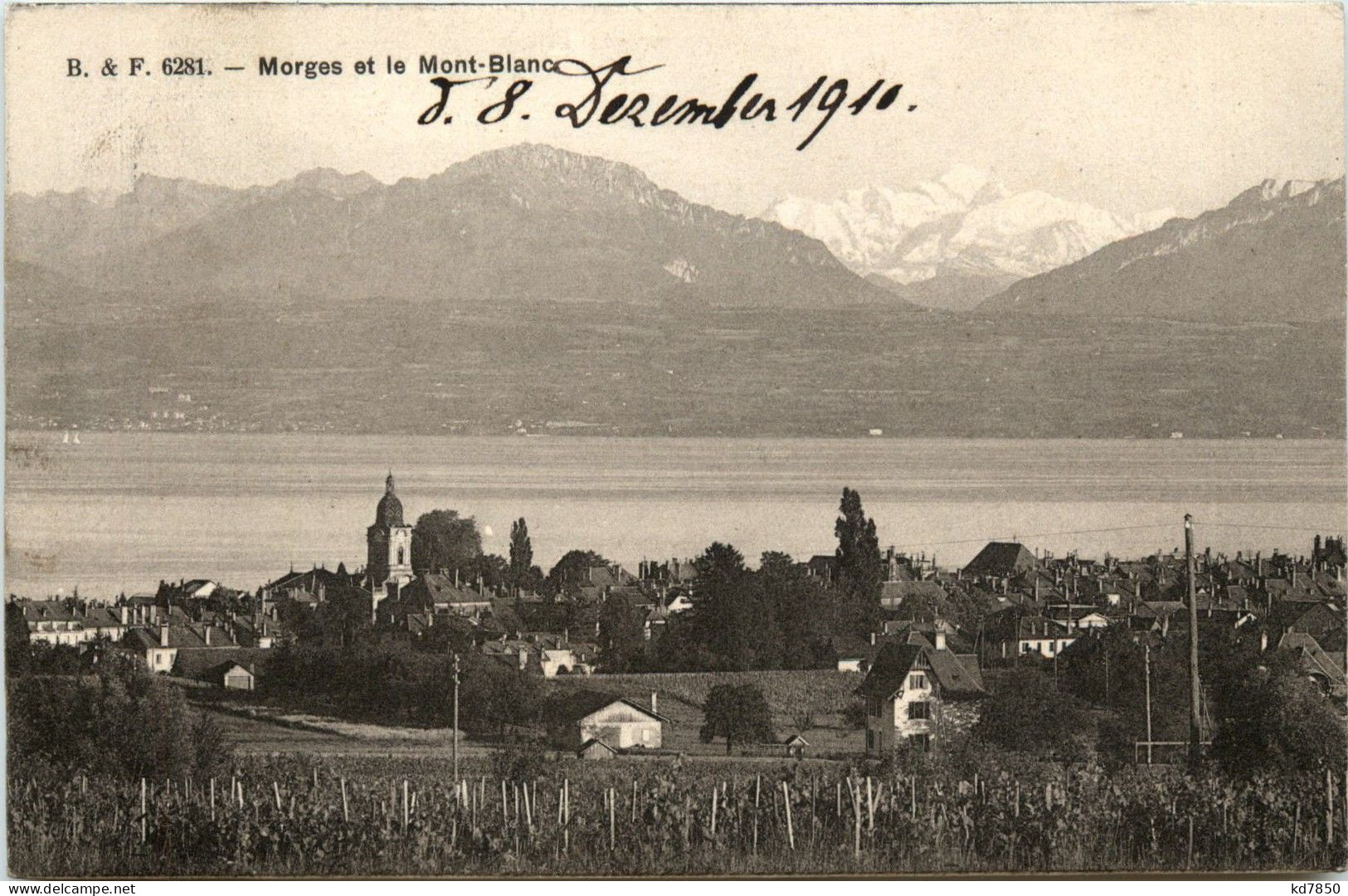 Morges Et Le Mont Blanc - Morges