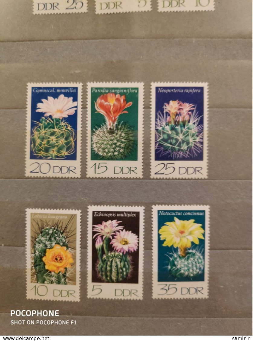 1974	Germany	Flowers Cactuses (F89) - Unused Stamps