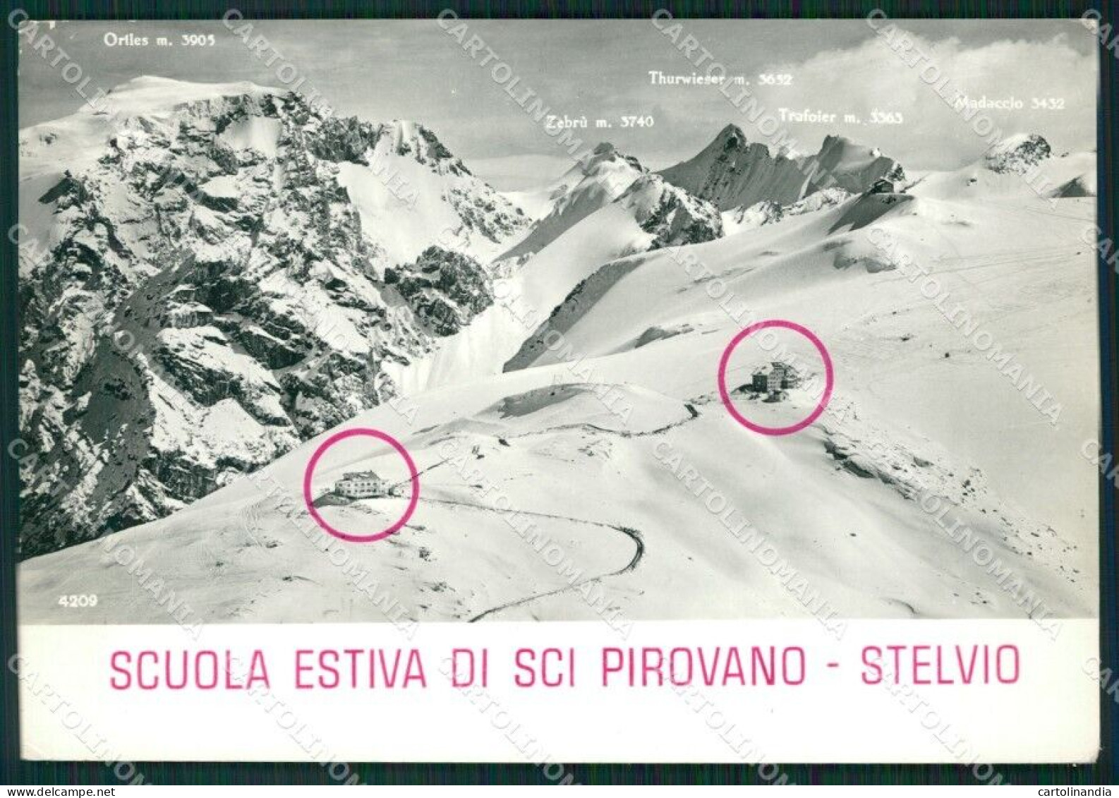 Sondrio Bormio Passo Dello Selvio Sci Pirovano Foto FG Cartolina ZK6483 - Sondrio