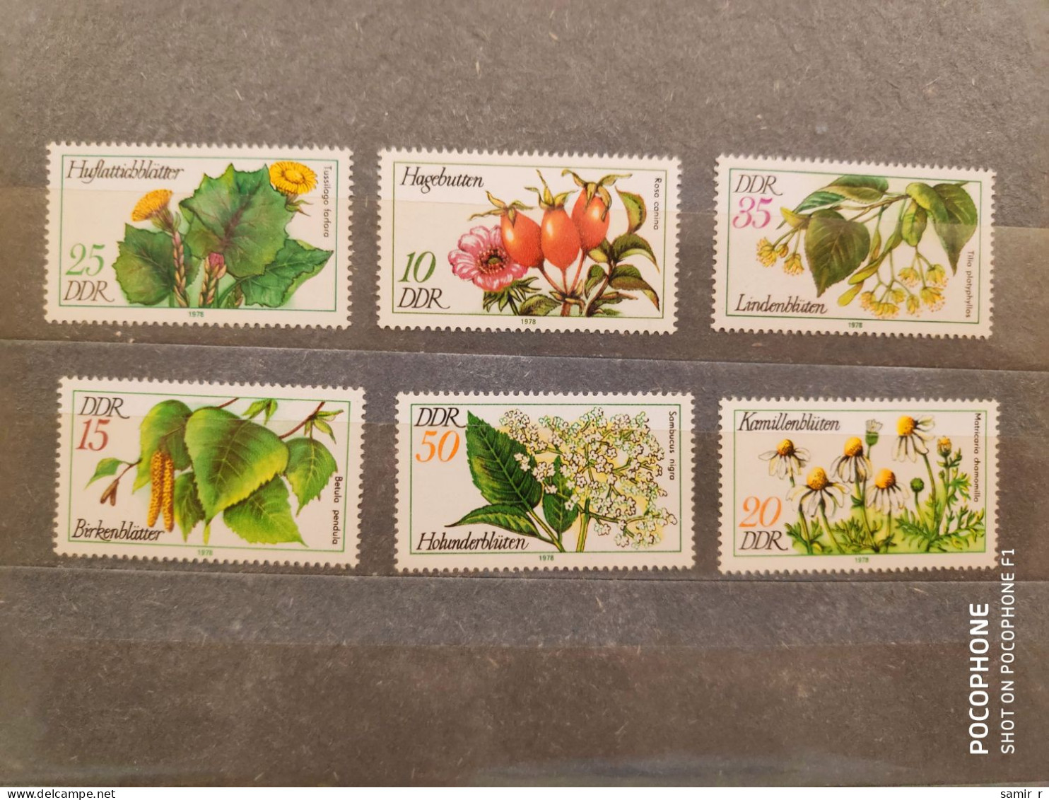 1978	Germany	Flowers (F89) - Ungebraucht