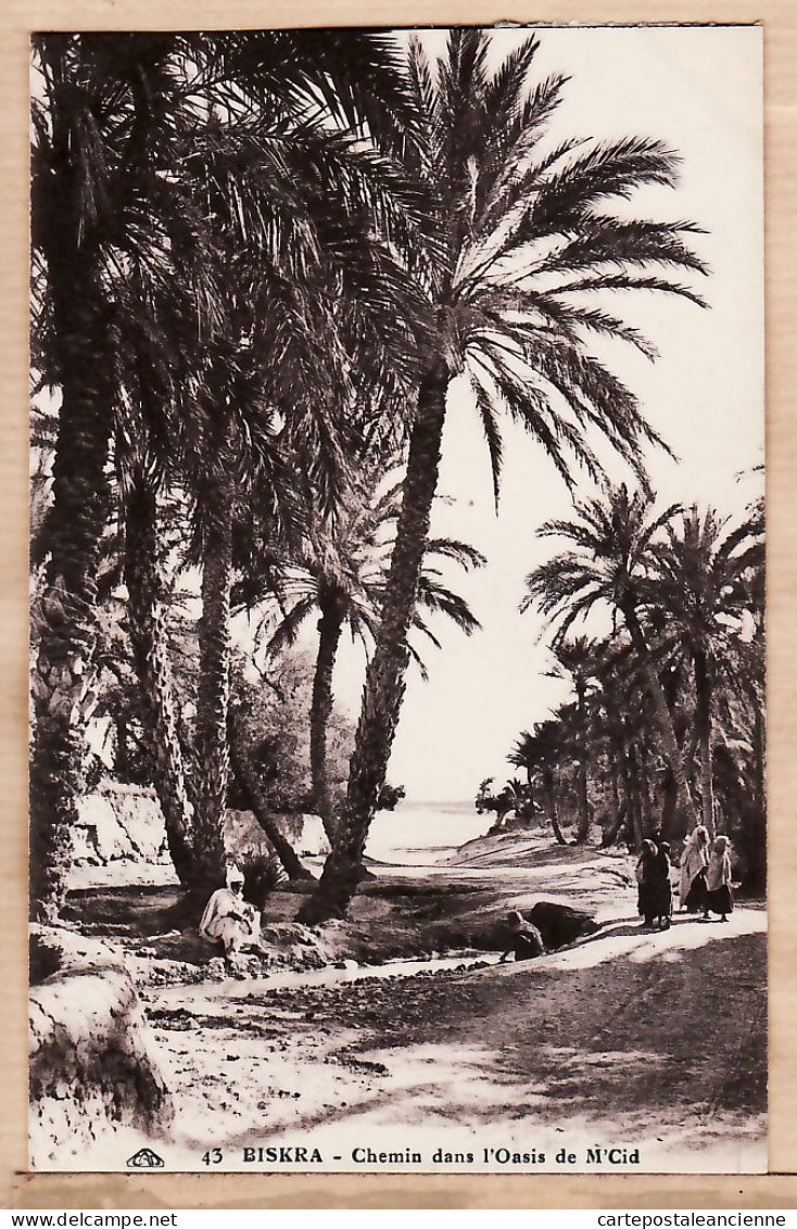 21744 / ⭐ Algerie BISKRA Chemin Dans L'Oasis M'CID 1930s- CAP 43 ALGERIA ALGERIEN ARGELIA ALGERIJE - Biskra