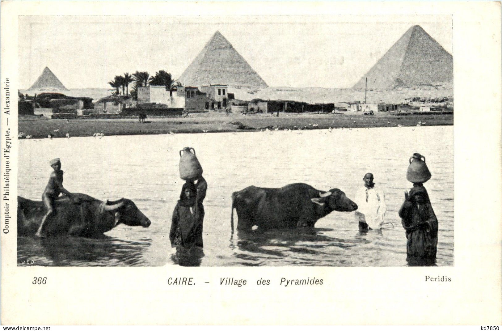 Cairo - Village Des Pyramides - Pyramids