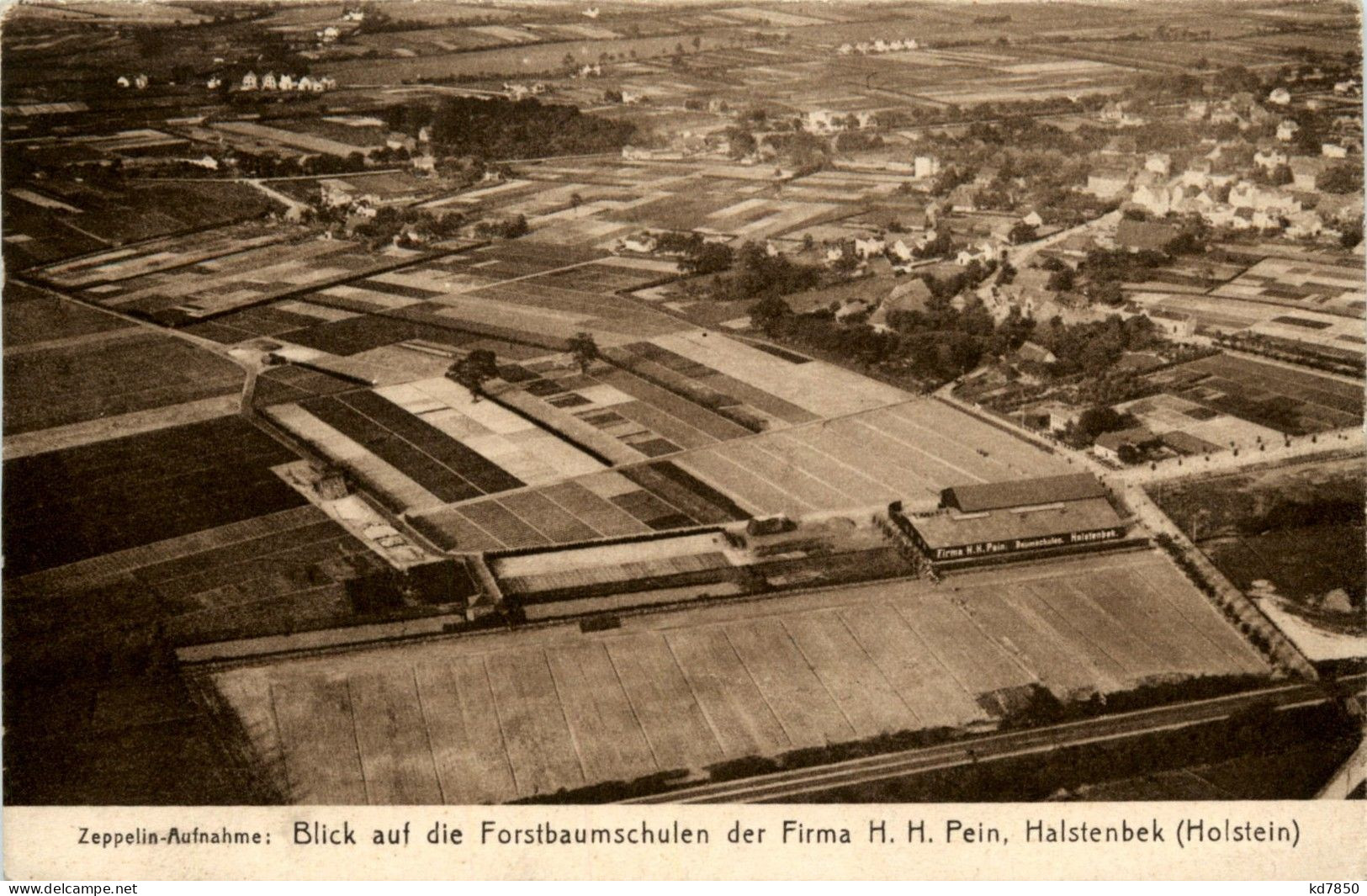 Forstbaumschulen Der Firma Pein - Holstenbek - Zeppelin Aufnahme - Pinneberg