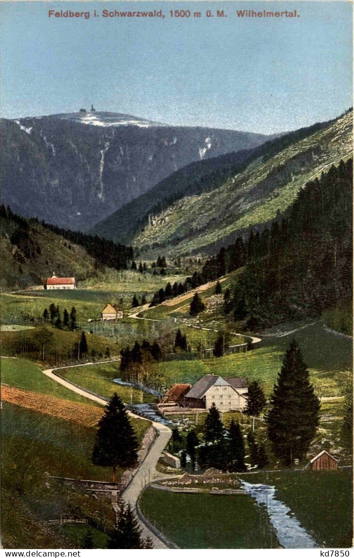 Feldberg Im Schwarzwald - Wilhelmertal - Feldberg