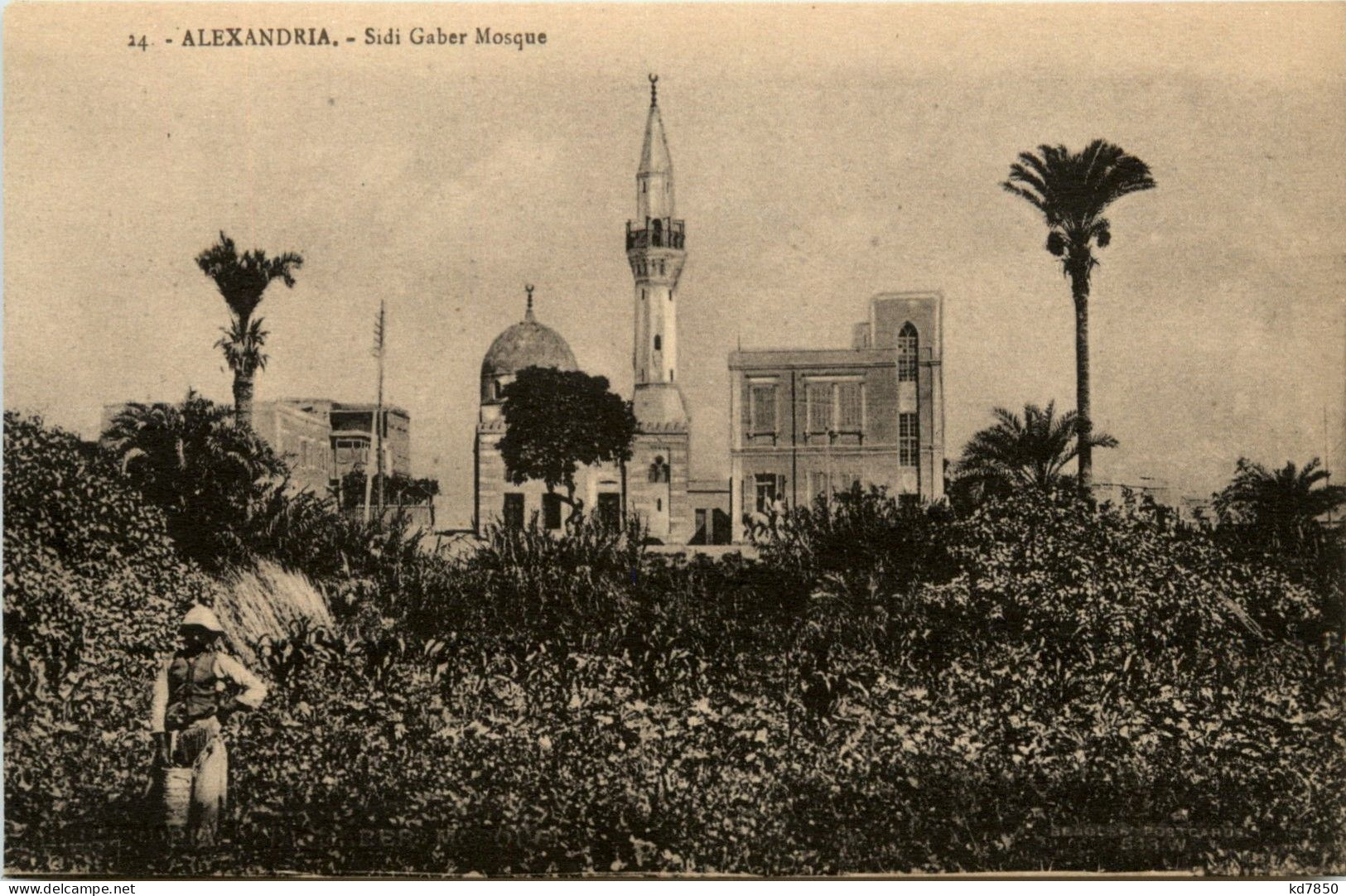 Alexandria - Sidi Gaber Mosque - Alexandrië