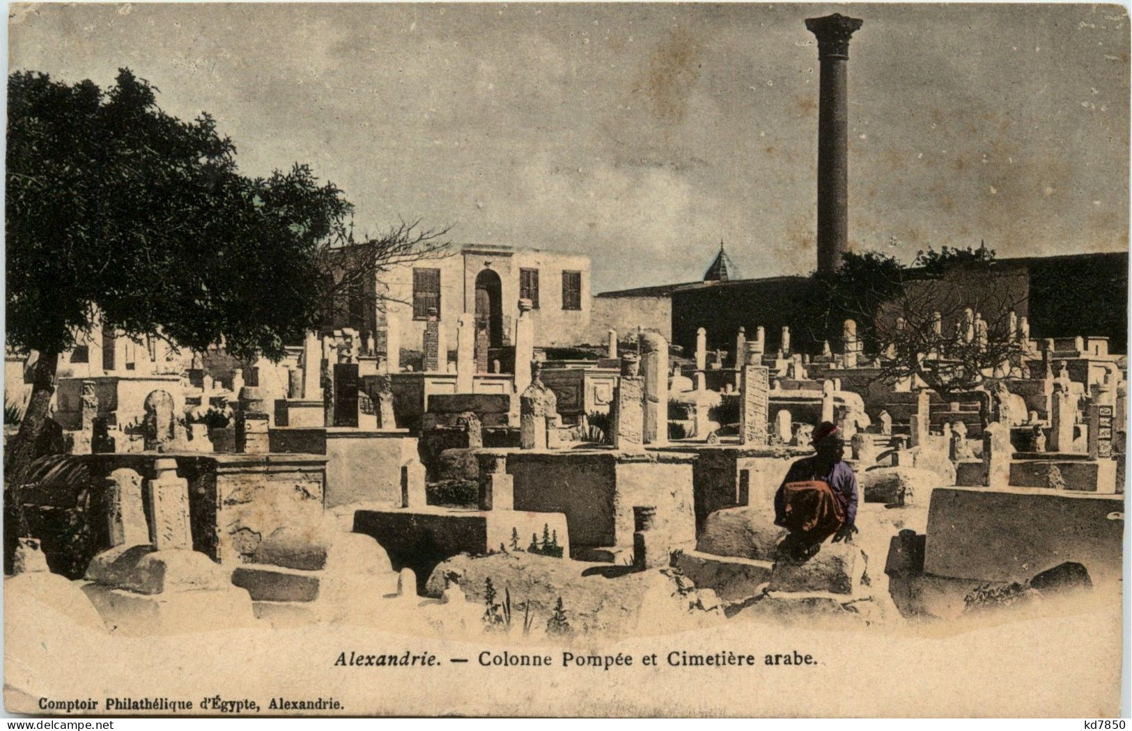 Alexandria - Colonne Pompee Et Cimetiere Arabe - Alexandrie