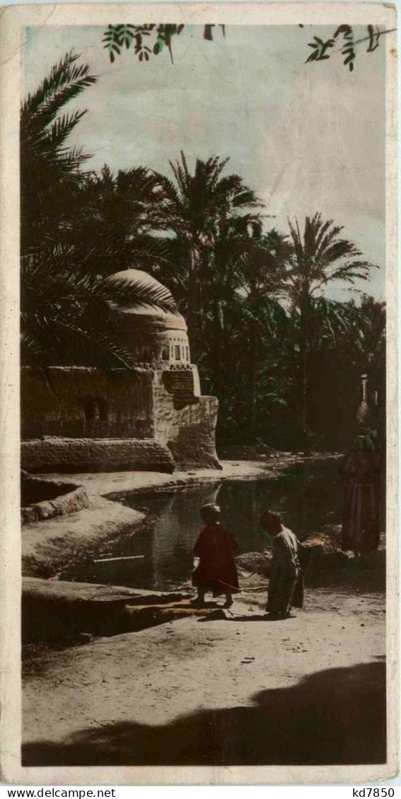 Cairo - Marg Village - Kairo