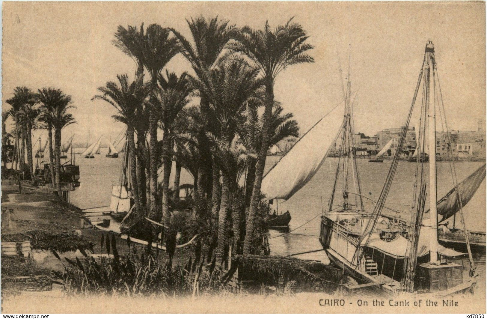 Cairo - On The Cank Of The Nile - Kairo