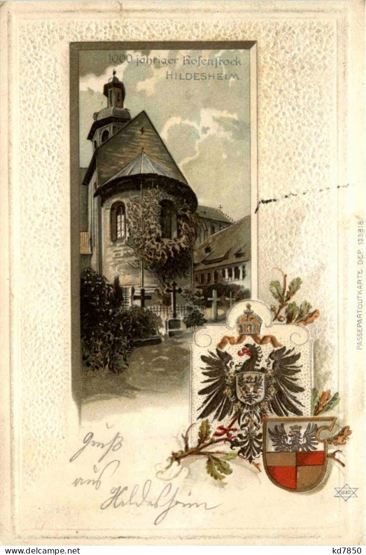 Hildesheim - 1000 Jähriger Rosenstock - Litho - Hildesheim