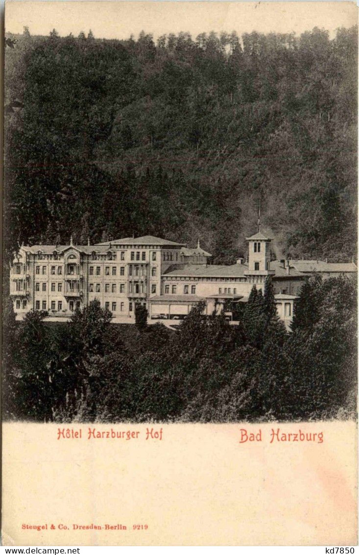 Bad Harzburg - Hotel Harzburger Hof - Bad Harzburg