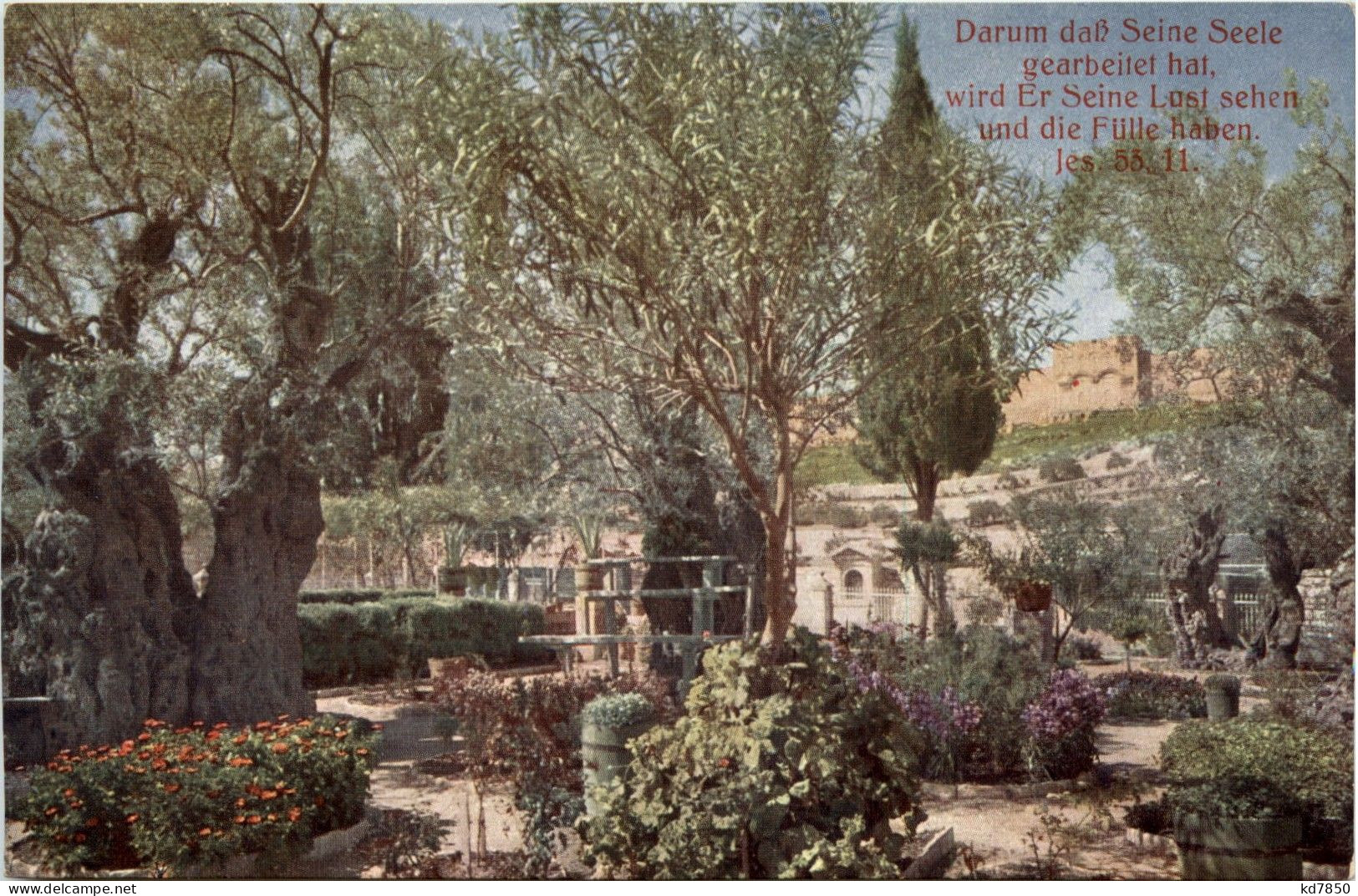 Gethsemane - Israel