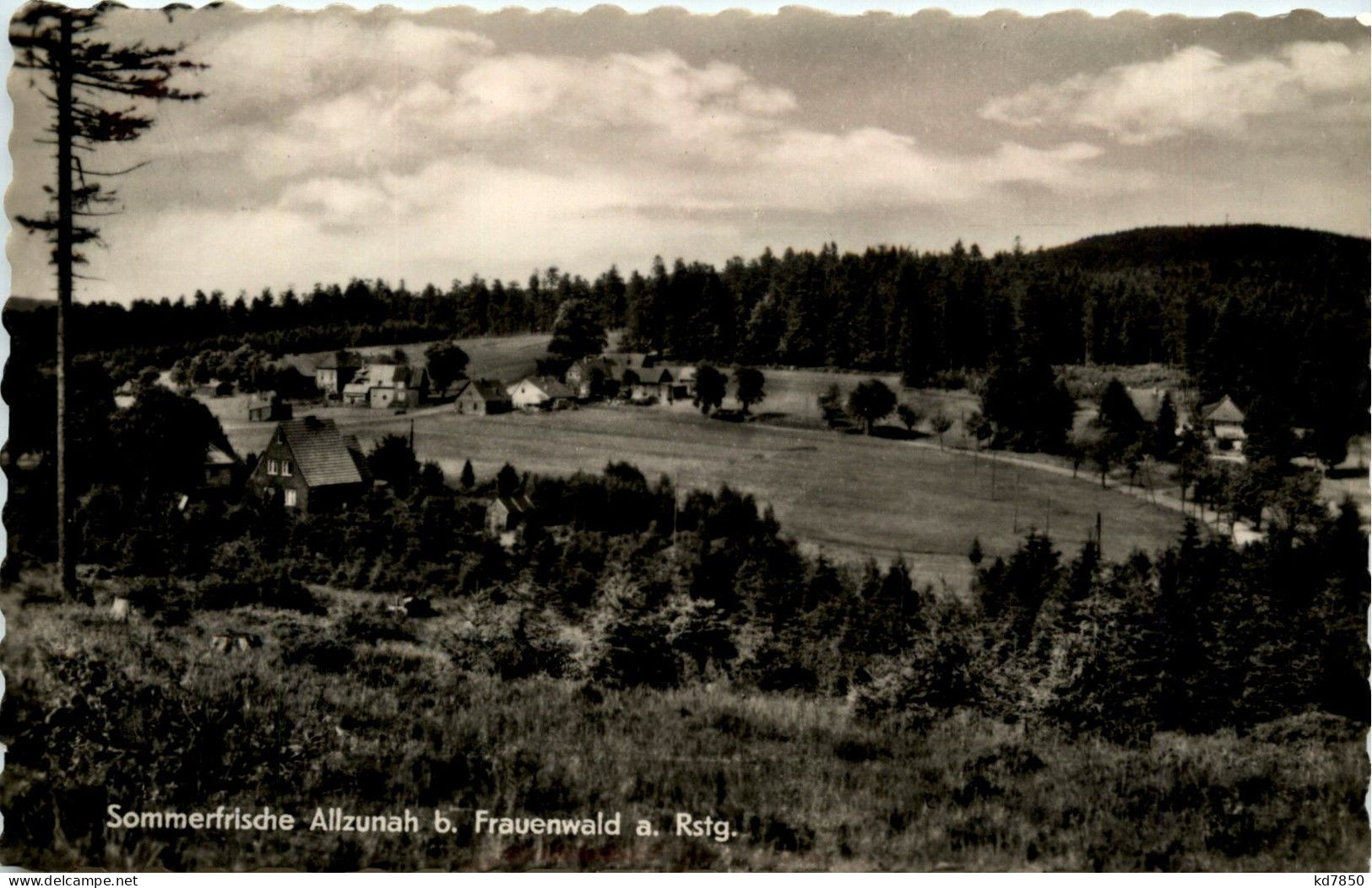 Allzunah Bei Frauenwald - Ilmenau