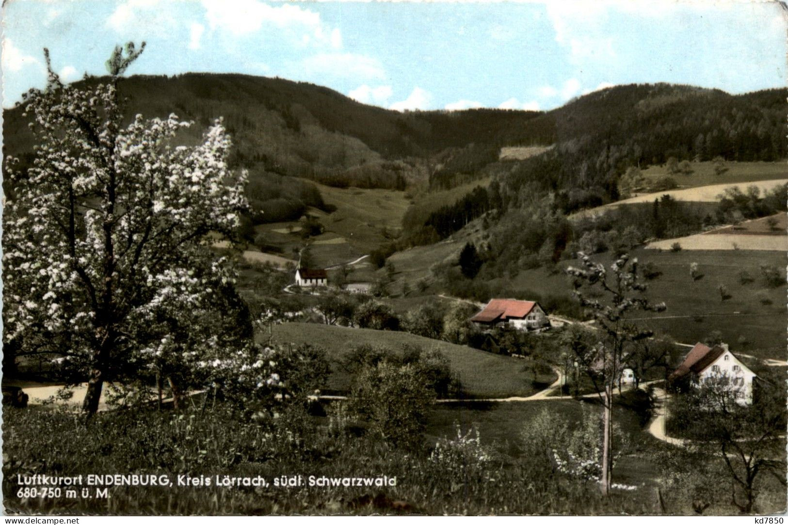 Endenburg - Krs. Lörrach - Lörrach