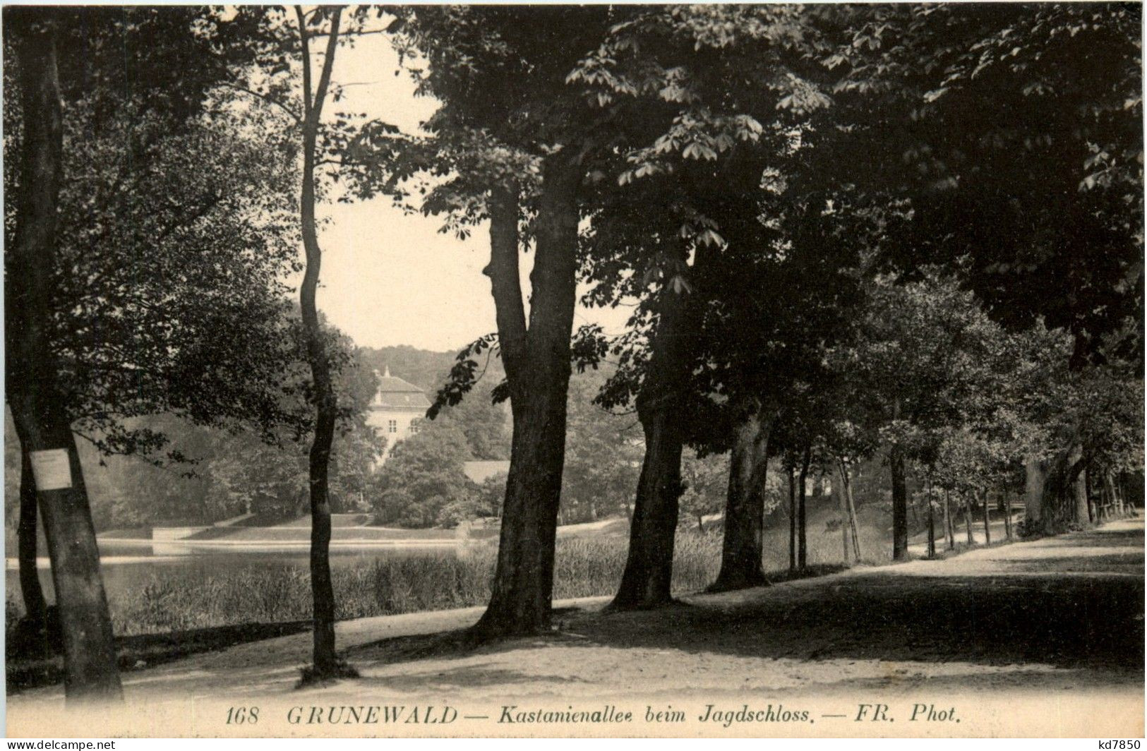 Grunewald - Kastanienallee - Grunewald