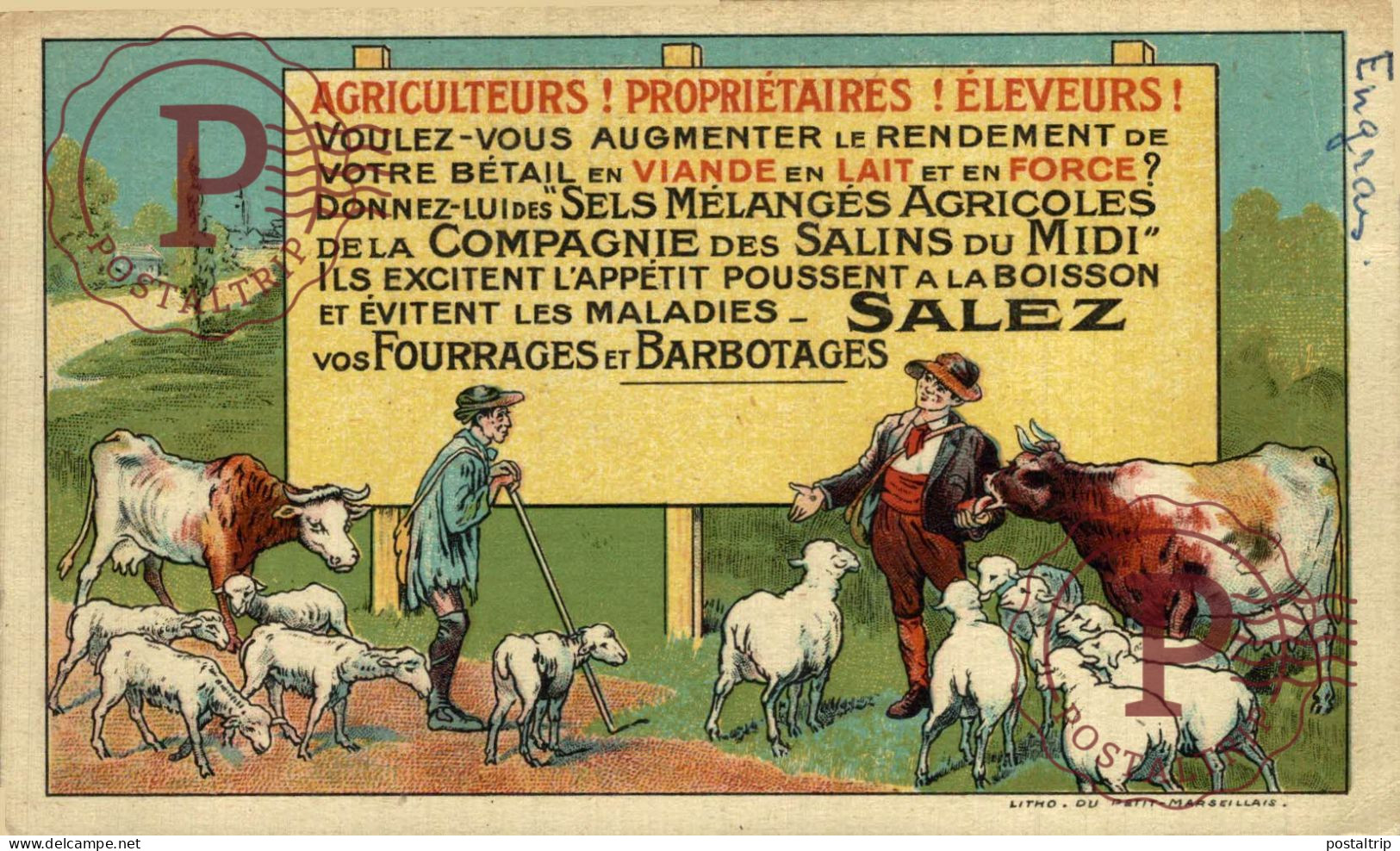 PUBLICIDAD. AGRICULTEURS ! PROPRIETAIRES ! ELEVEURS !  SALEZ - SALINS DU MIDI. PUBLI. - Advertising