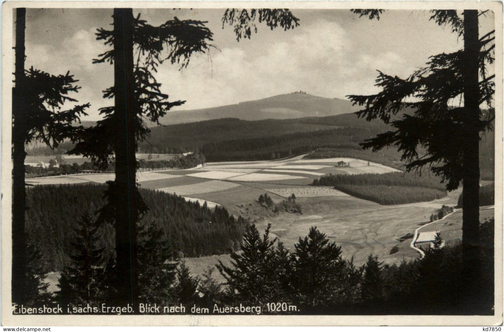 Eibenstock - Blick Nach Auersberg - Eibenstock