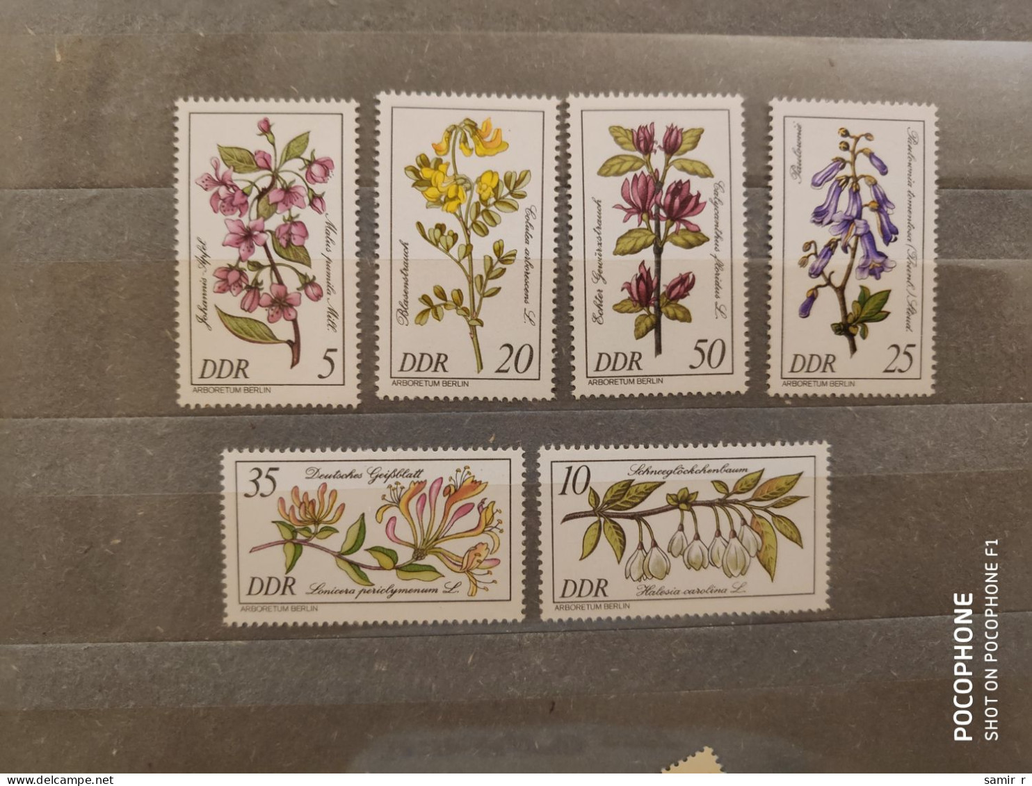 1981	Germany	Flowers (F89) - Ungebraucht