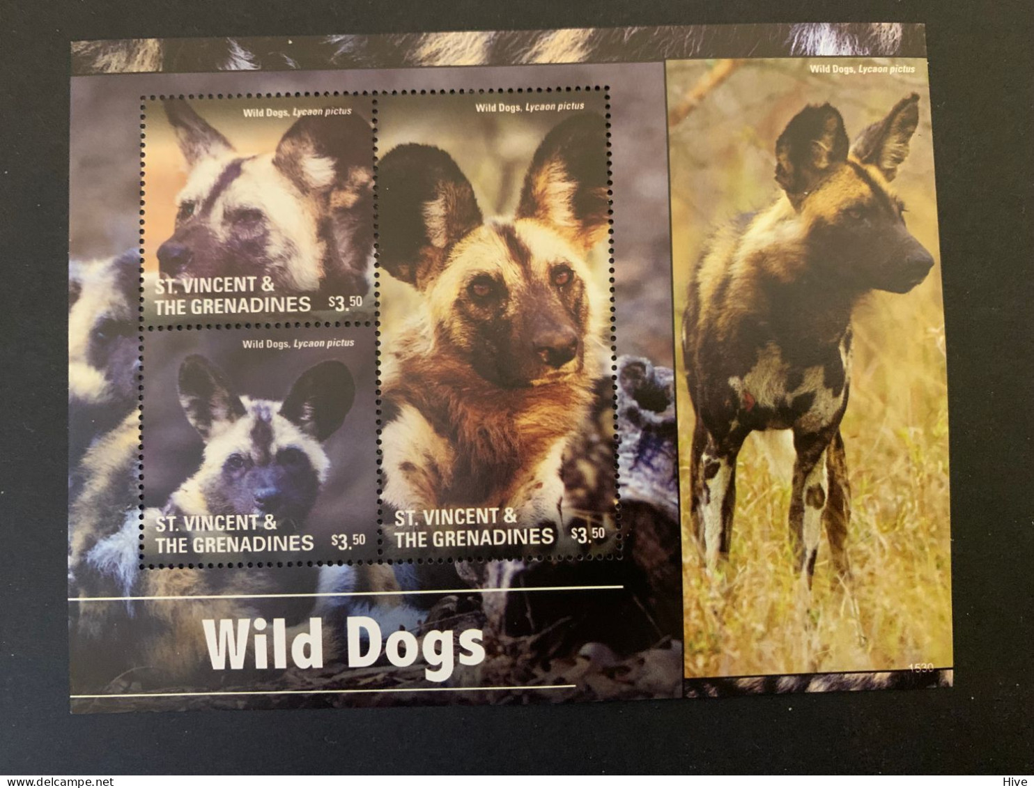 St.Vincent 2015 Wild Dogs MNH - St.Vincent & Grenadines