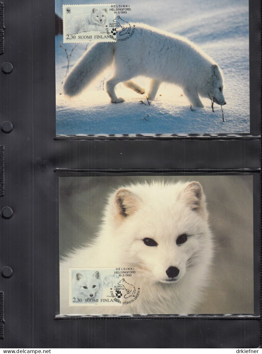 FINNLAND  1202-1205, 4 MK, WWF, Weltweiter Naturschutz: Polarfuchs, 1992 - Ungebraucht