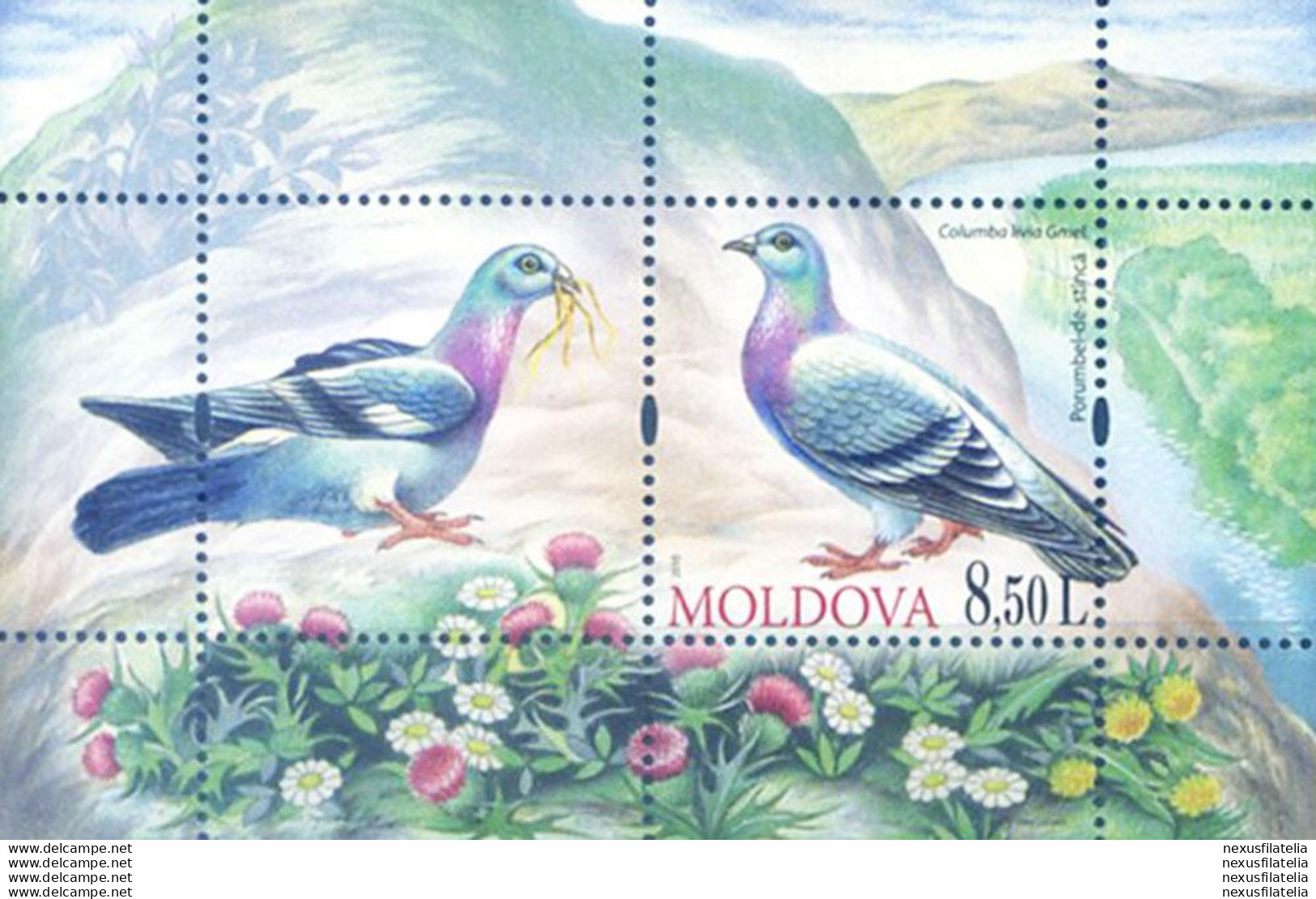 Fauna. Uccelli 2010. - Moldavië