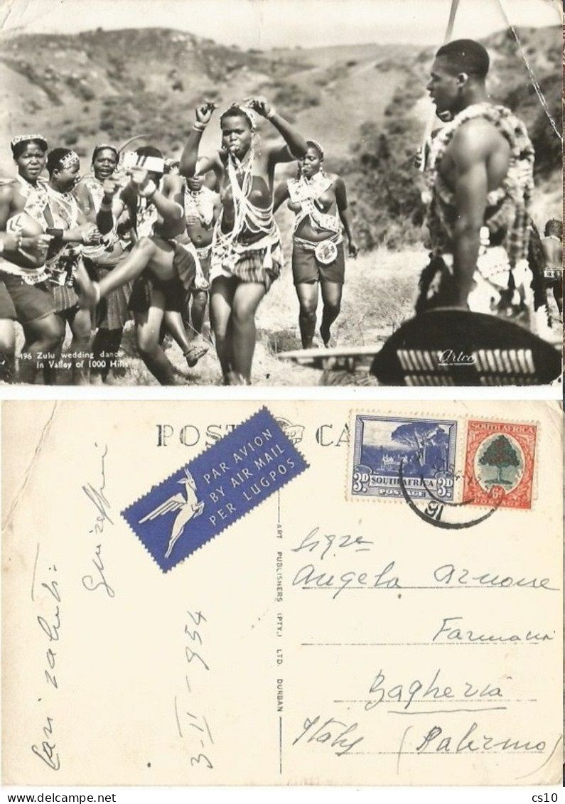 South Zuid Africa Tribal Zulu Wedding Dance In 1000 Hills Valley - B/w Pcard By ARTCO - 3feb1954 - Dans