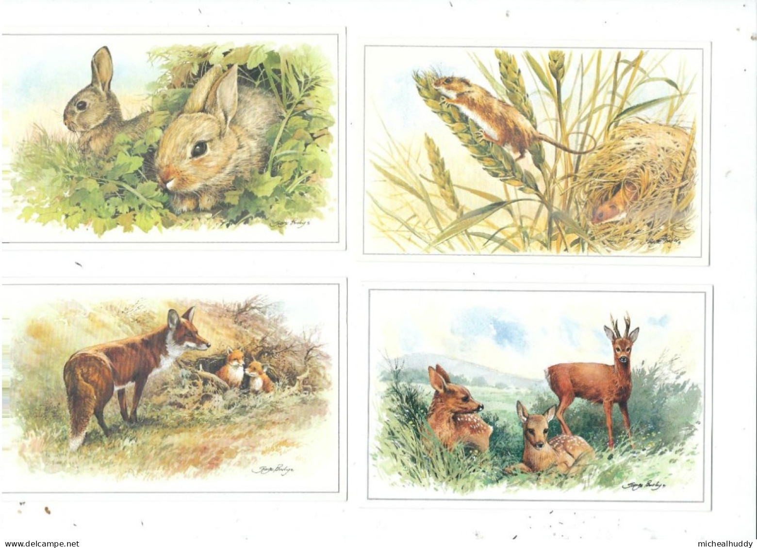 SET  OF 6 POSTCARDS   BRITISH WILD LIFE - Collections & Lots