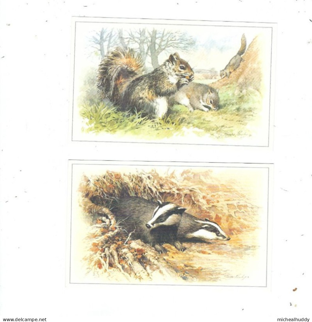 SET  OF 6 POSTCARDS   BRITISH WILD LIFE - Collections & Lots