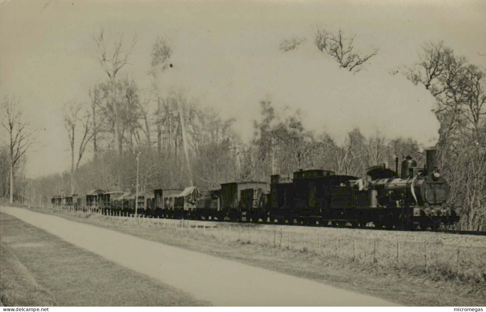 Reproduction - Train à Identifier - Ternes