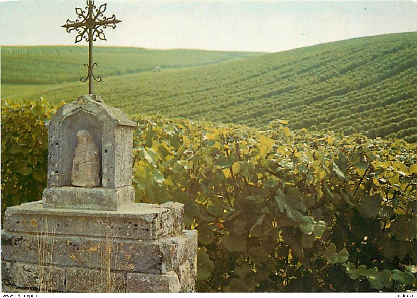 Vignes - Jura - Arbois - Domaine De La Croix D'Argis - CPM - Voir Scans Recto-Verso - Weinberge