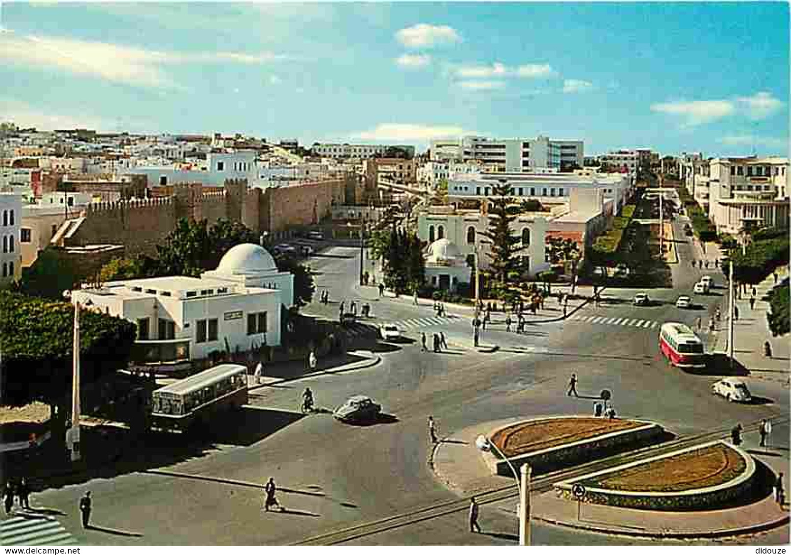 Automobiles - Bus - Autocars - Tunisie - Sousse - Vue Panoramique - Carte Neuve - CPM - Voir Scans Recto-Verso - Bus & Autocars