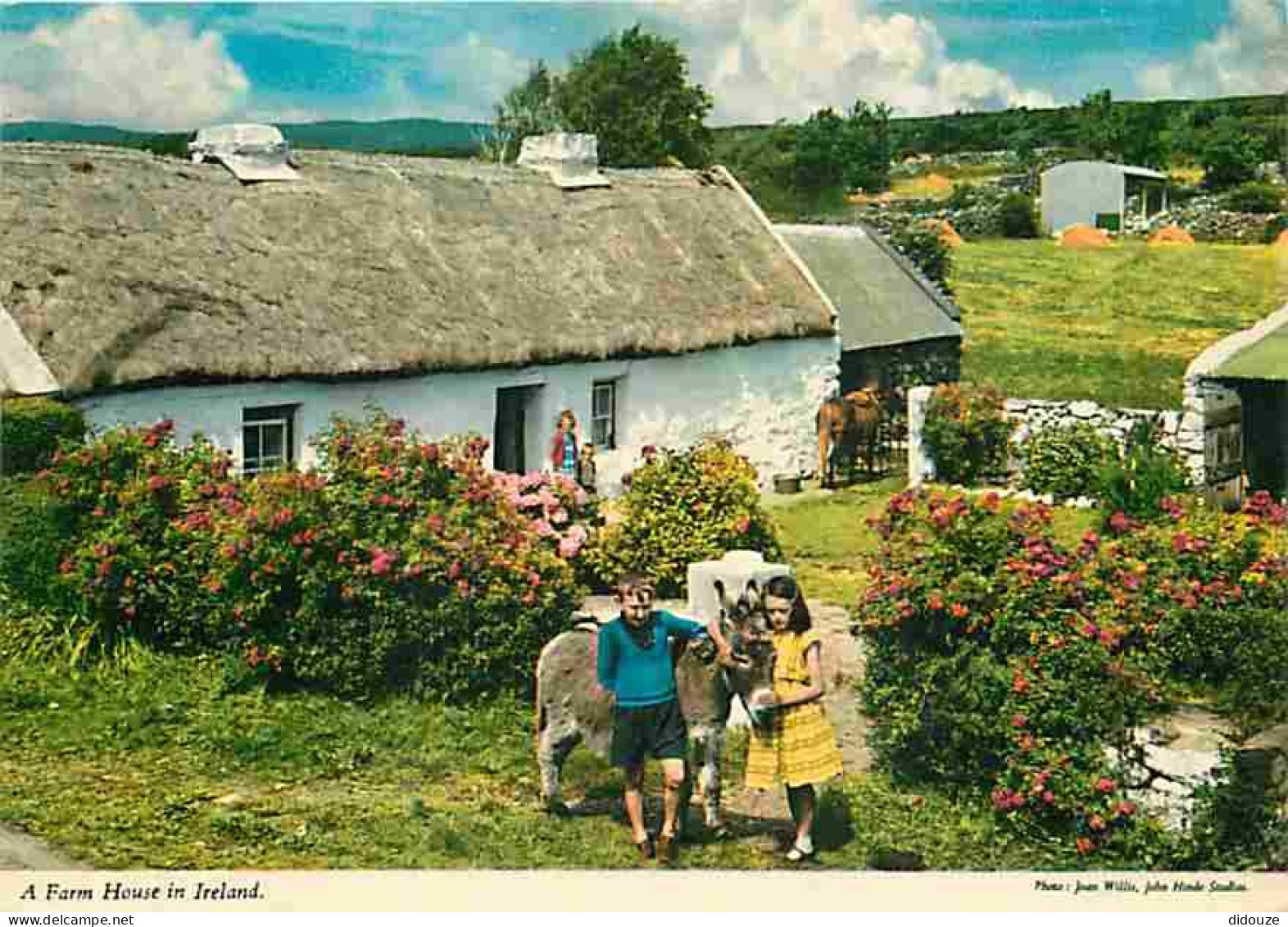 Irlande - A Farm House - Anes - Carte Neuve - Ireland - CPM - Voir Scans Recto-Verso - Autres