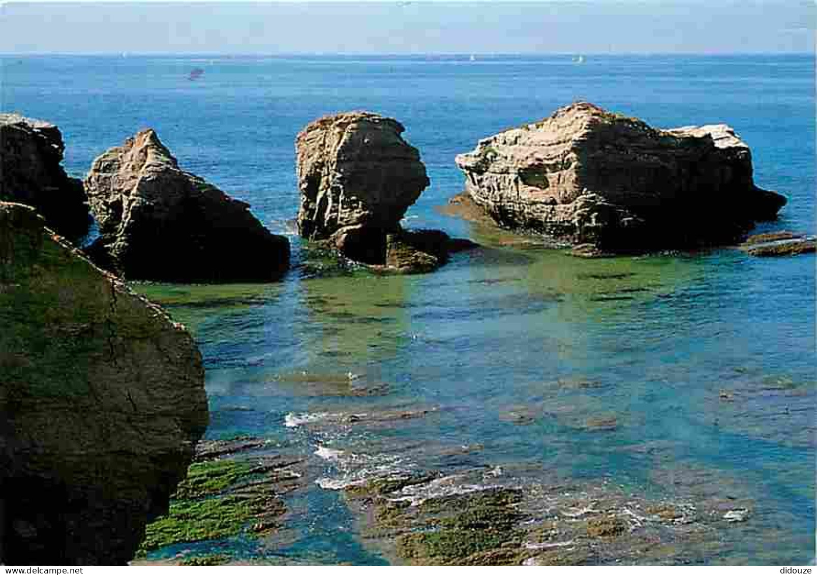 44 - Piriac Sur Mer - La Côte Rocheuse Vue De La Pointe Du Gastelli - Flamme Postale - CPM - Voir Scans Recto-Verso - Piriac Sur Mer