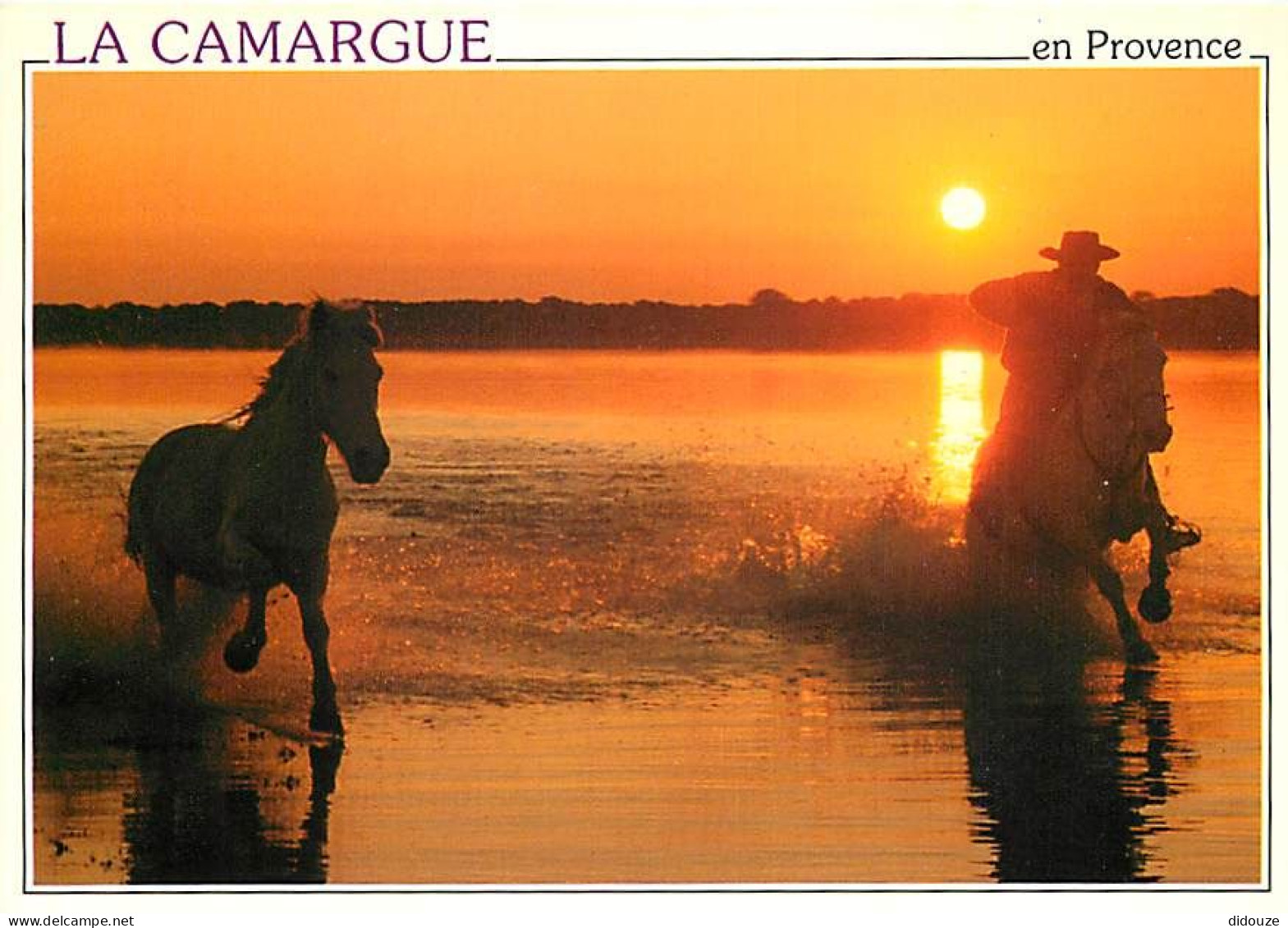 Animaux - Chevaux - Camargue - Gardians Au Coucher Du Soleil - Carte Neuve - CPM - Voir Scans Recto-Verso - Pferde