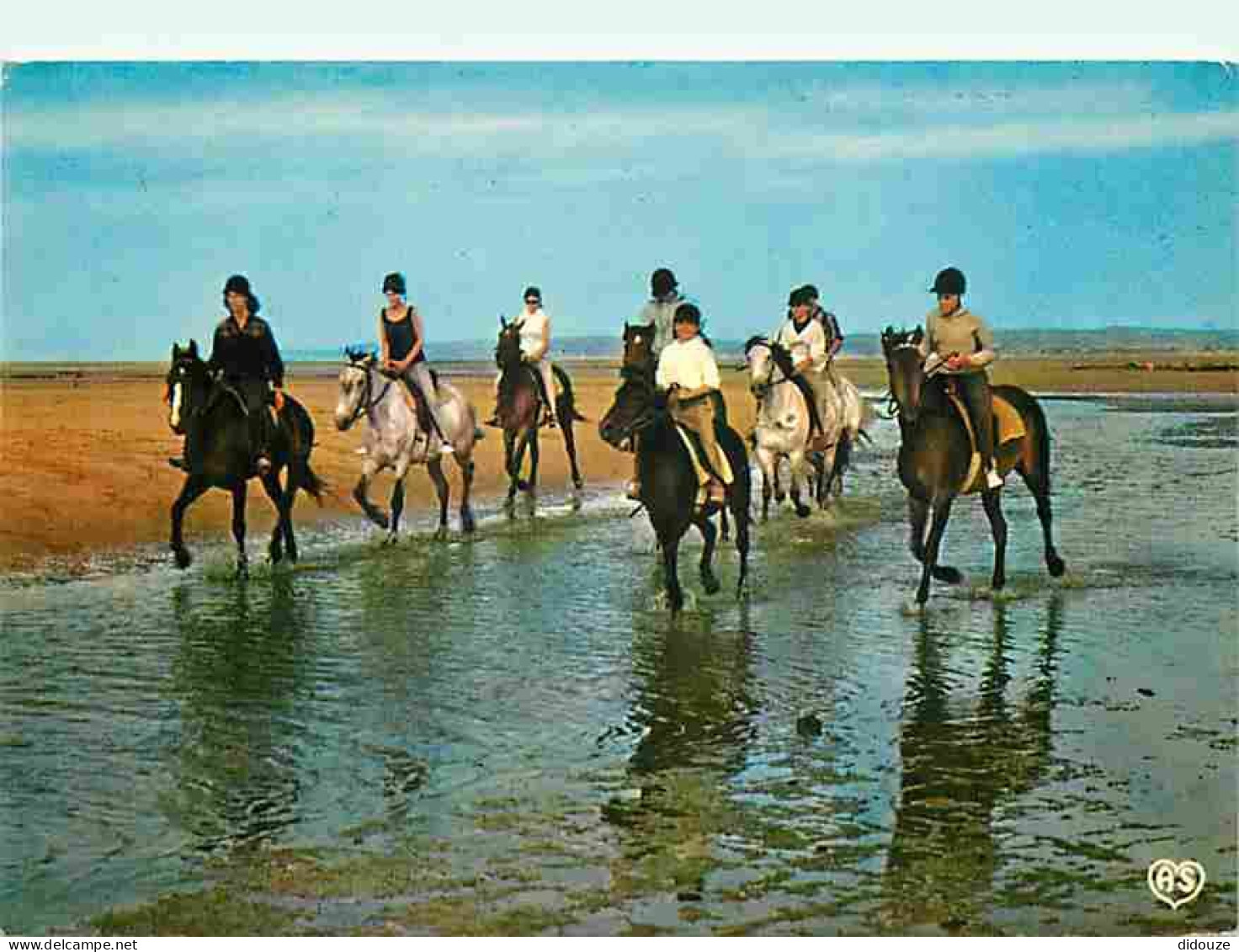 Animaux - Chevaux - Promenade Equestre - Flamme Postale - CPM - Voir Scans Recto-Verso - Pferde