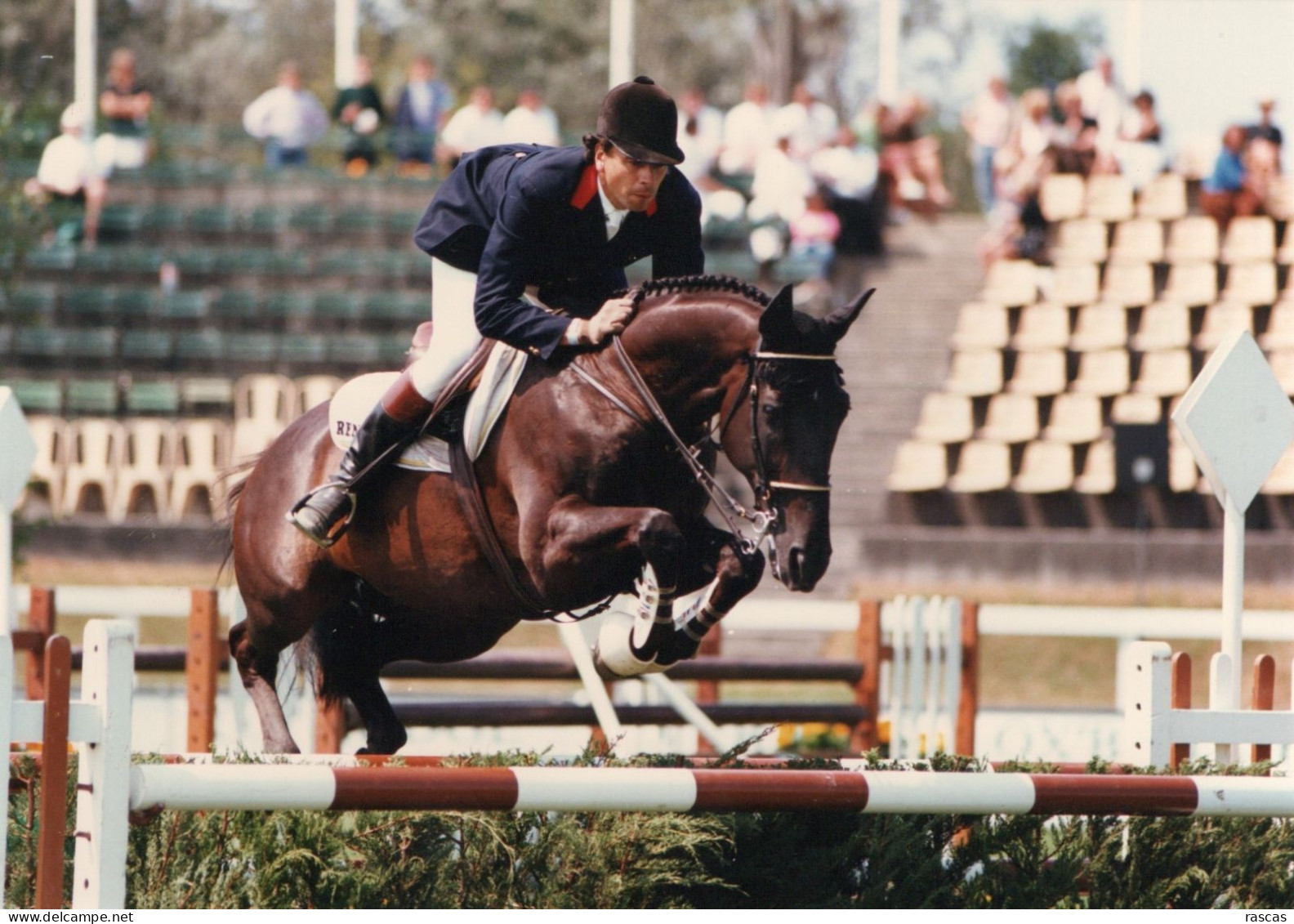 PHOTO GRAND FORMAT 1 - ENV 1 - SPORT - EQUITATION - PHOTO DEDICACEE AU DOS DU CAVALIER FRANCAIS PHILIPPE DURAND - Dédicacées