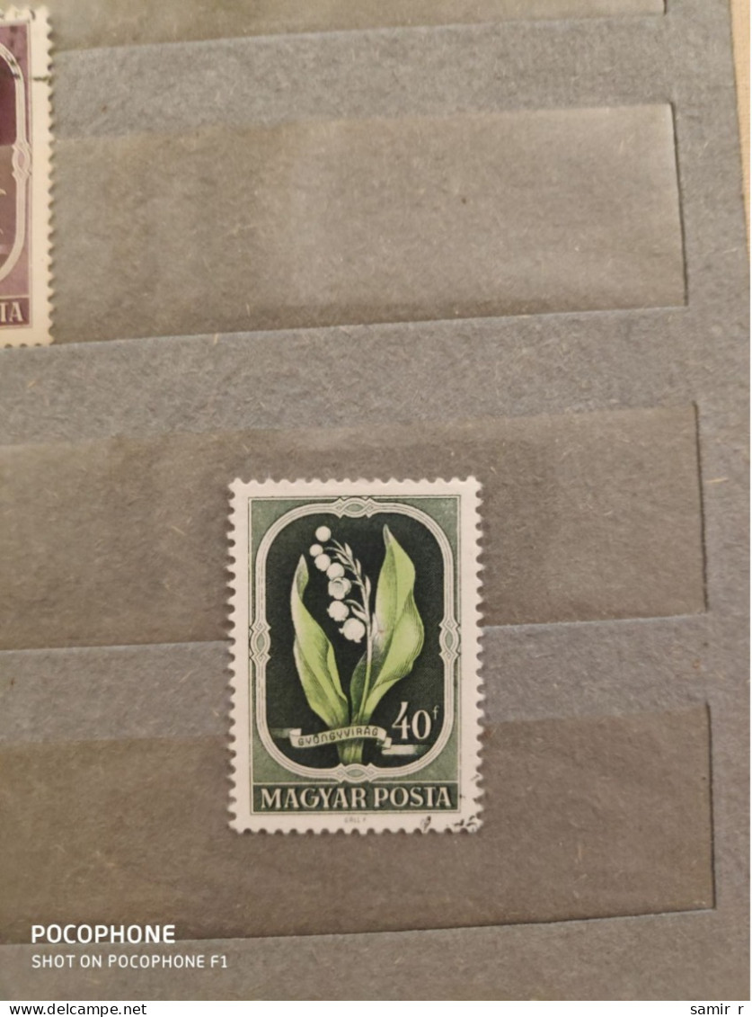 1951	Hungary	Flowers (F89) - Used Stamps