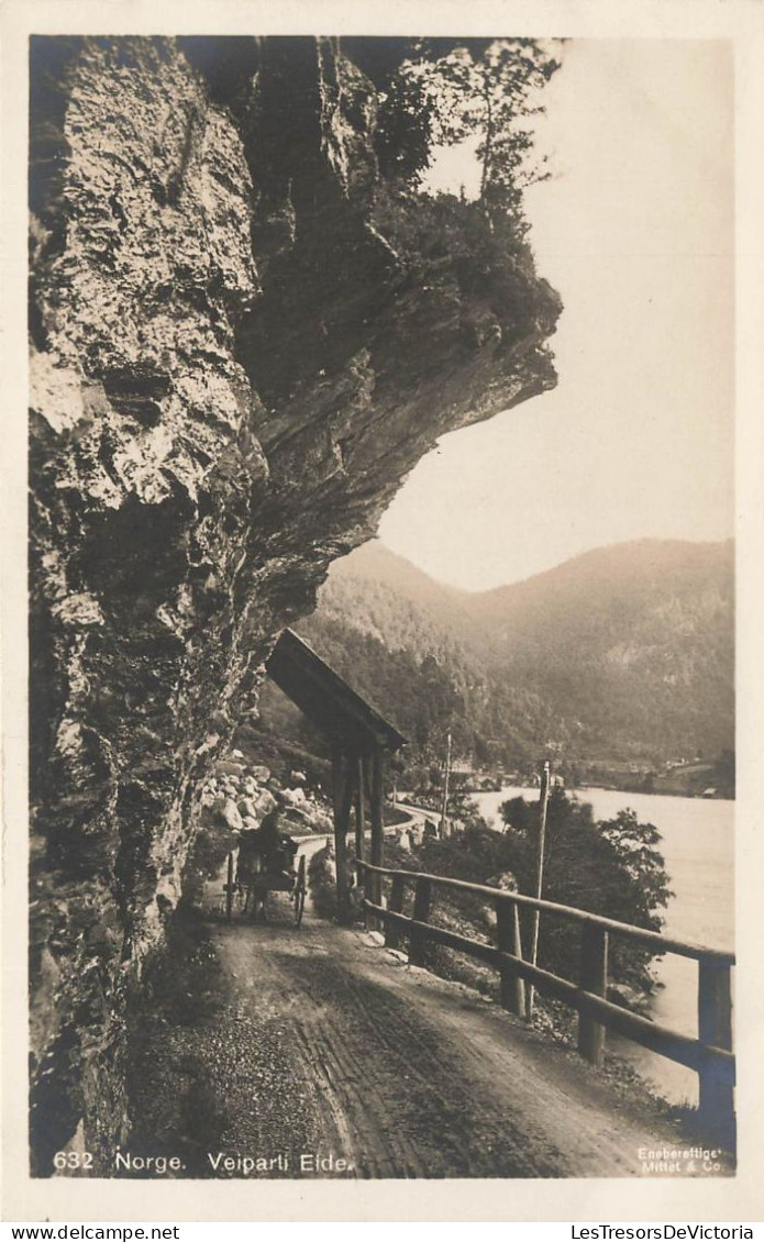 NORVEGE - Veiparti Elde - Carte Postale Ancienne - Norvège