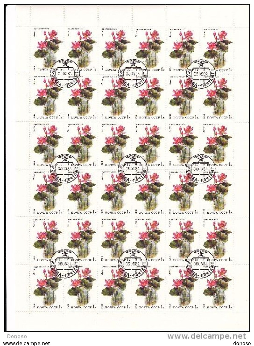 URSS 1984 Plantes Aquatiques Planche De 36 Yvert 5095, Michel 5381 Oblitéré, Used; Cote Yv 7.20 Euros - Feuilles Complètes